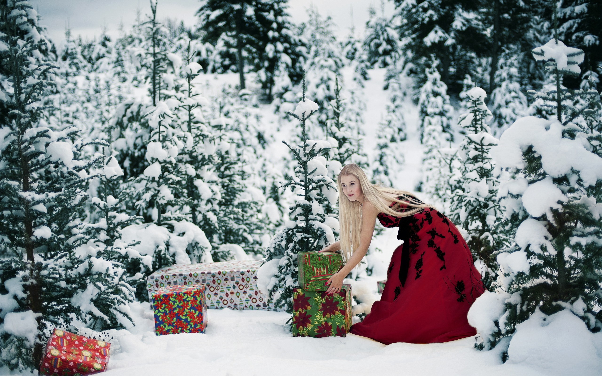 Woman in red dress with Christmas presents in snowy forest HD Wallpaper