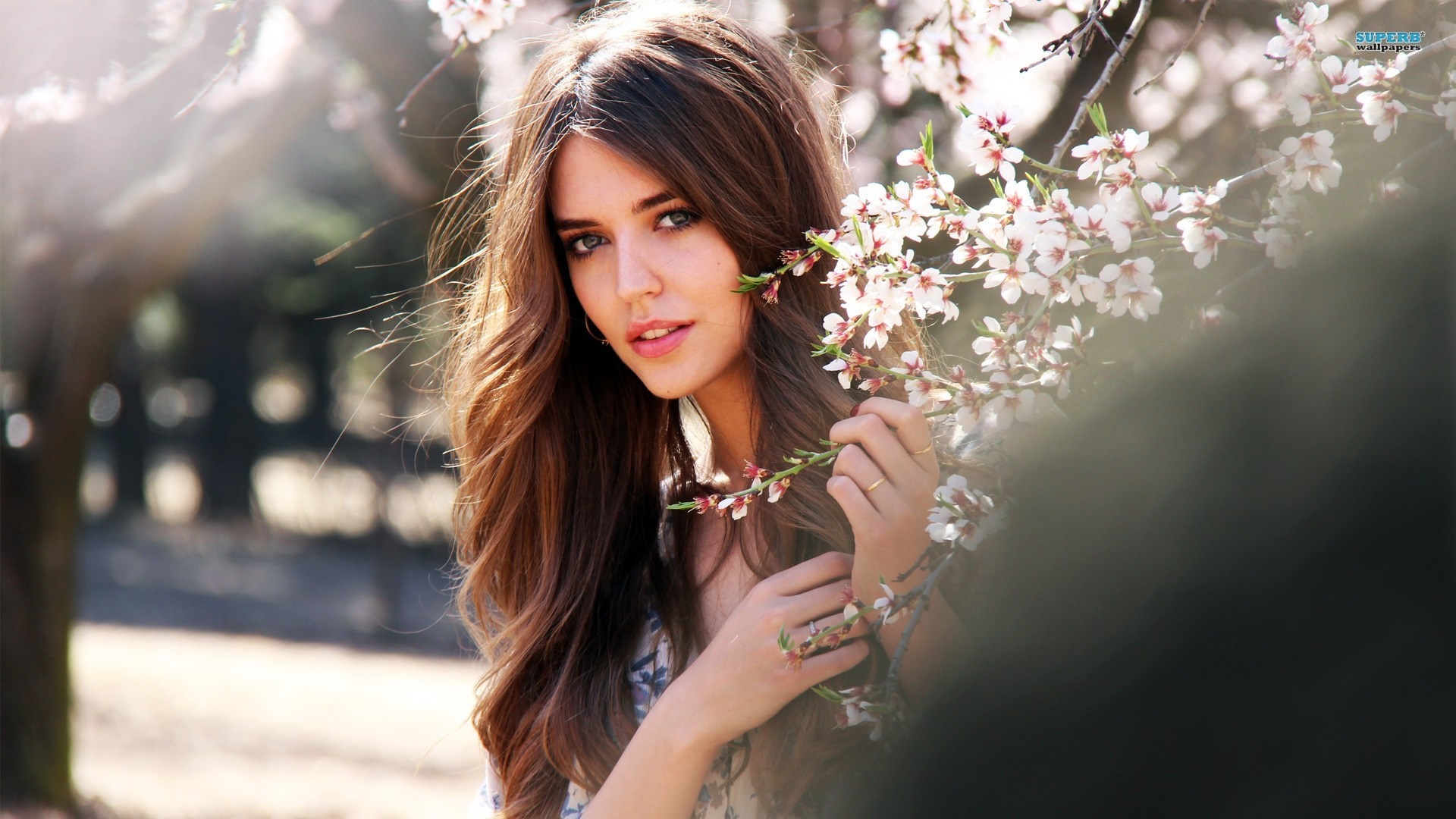 Woman with long brown hair and flowers HD Wallpaper