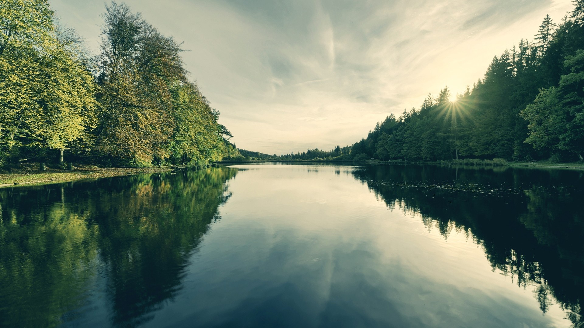 Sunlight over a forest lake with reflections HD Wallpaper