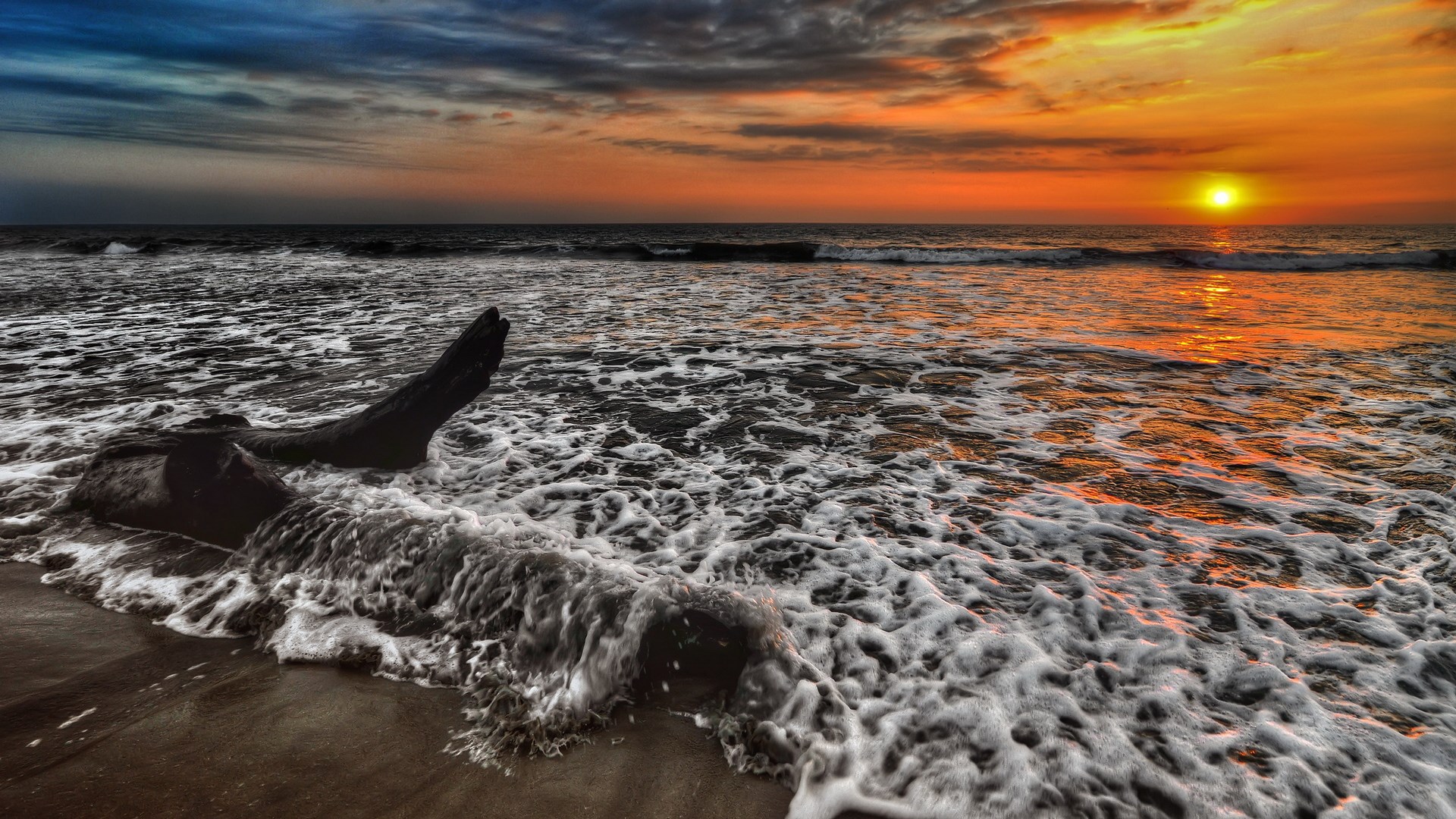 Driftwood on a beach at sunset HD Wallpaper