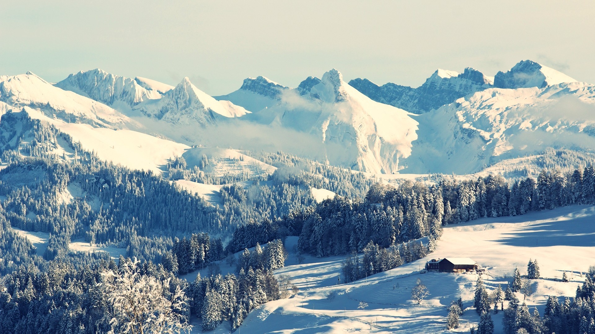Snowy mountain range with pine forest and cabin HD Wallpaper