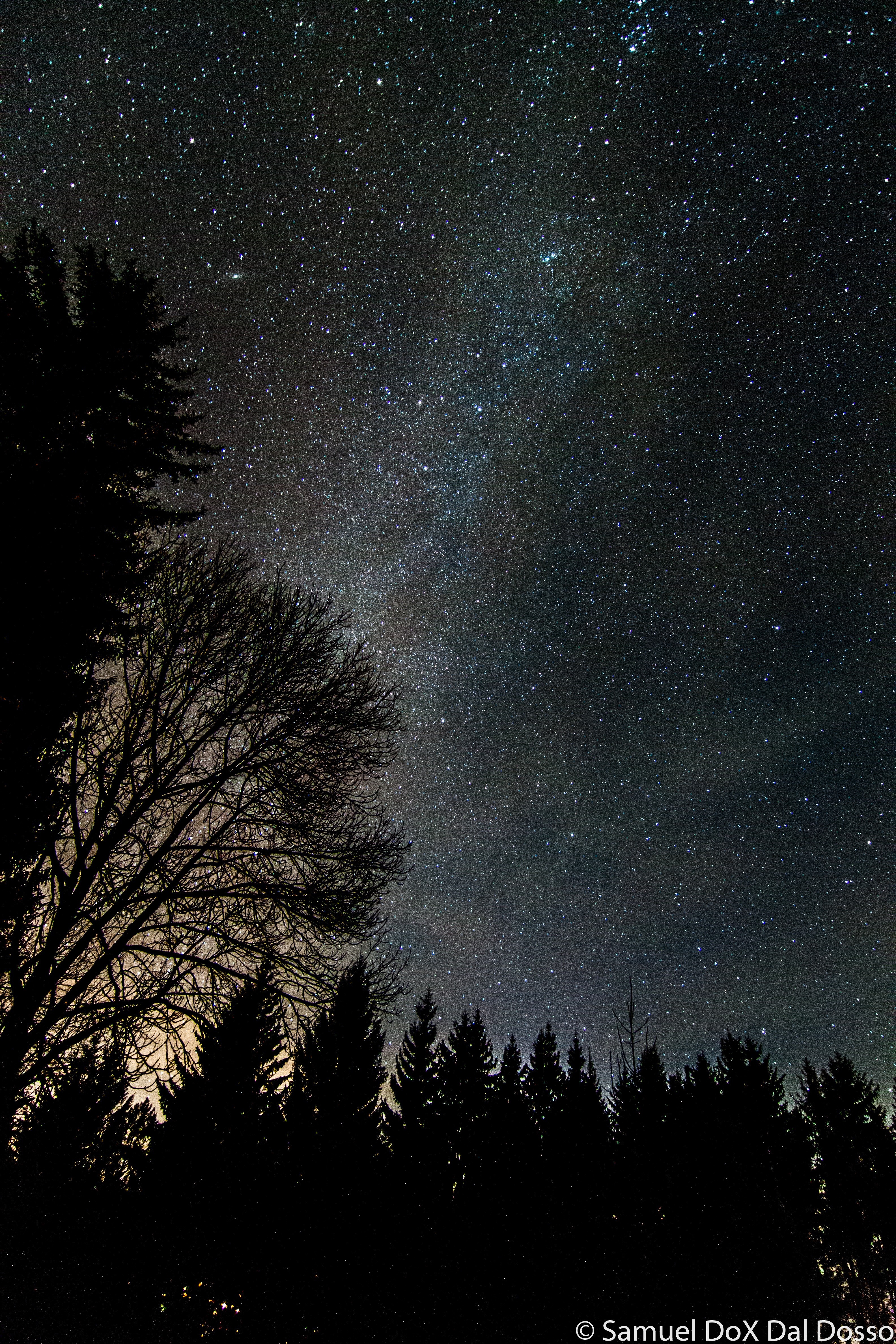 Night sky with Milky Way over silhouetted trees HD Wallpaper