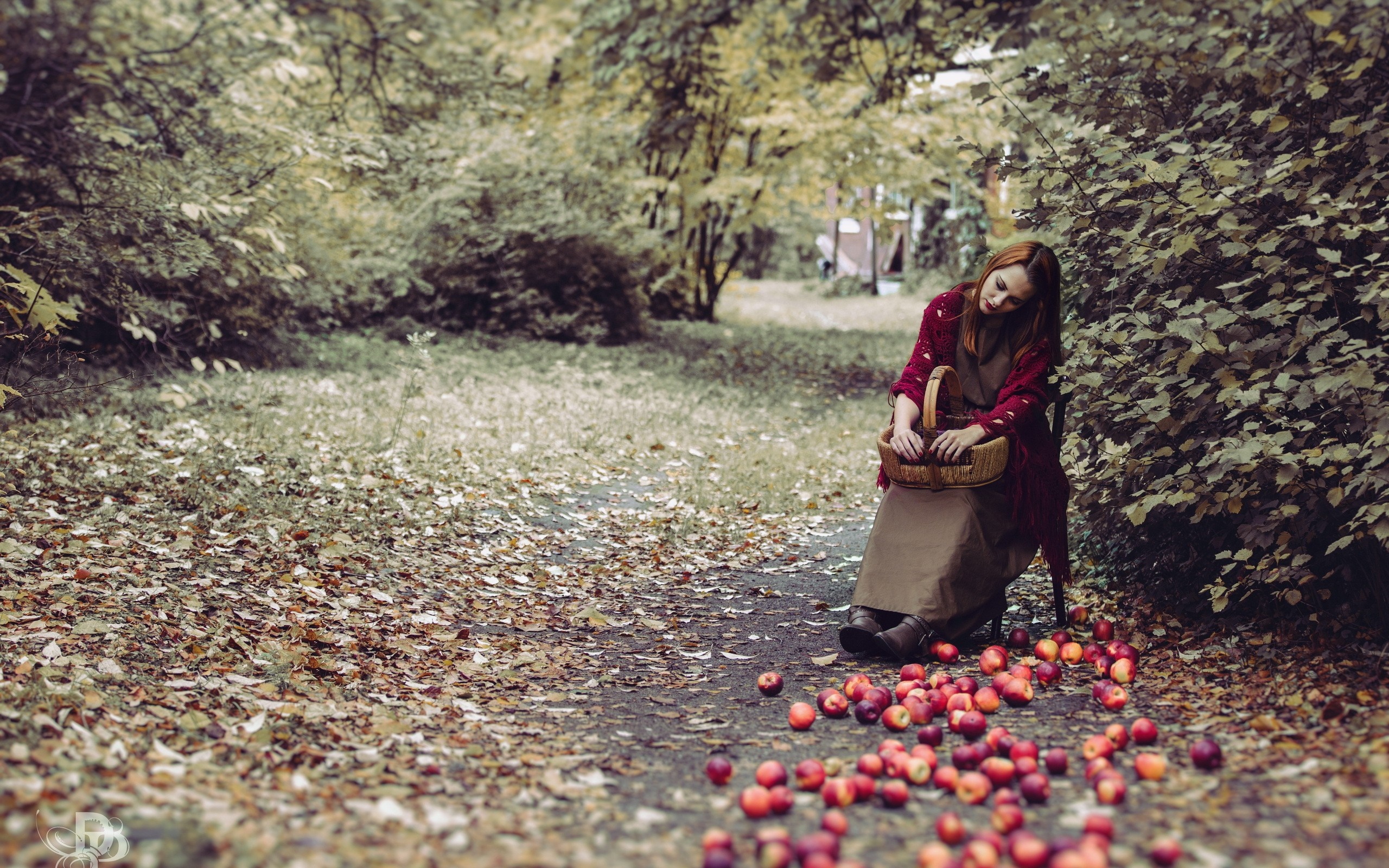 Woman with basket and apples in autumn forest HD Wallpaper