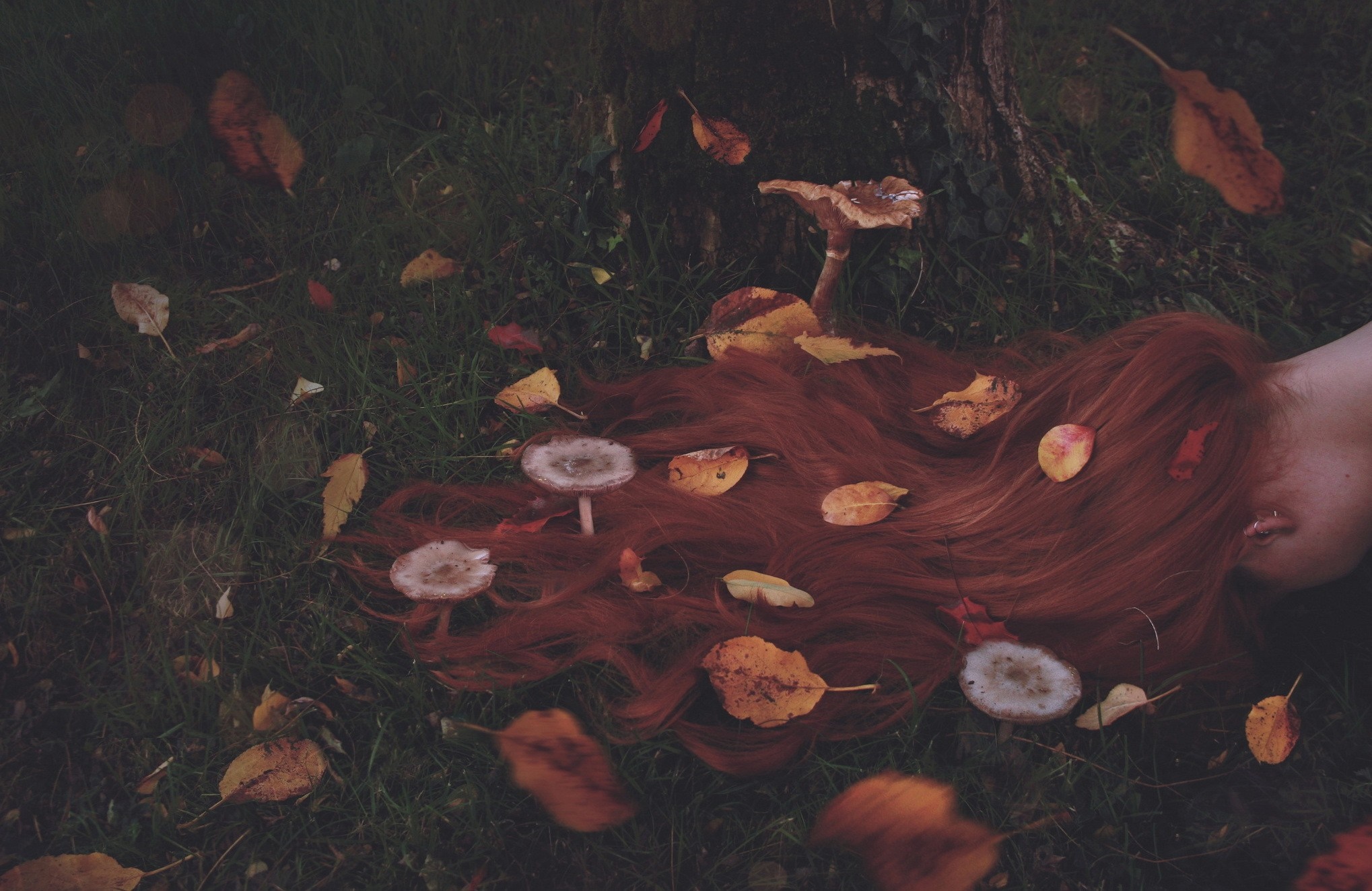 Redhead woman lying in grass with mushrooms and leaves HD Wallpaper