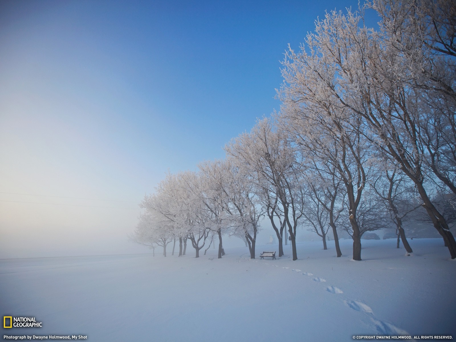 Winter landscape with frosted trees and footprints HD Wallpaper