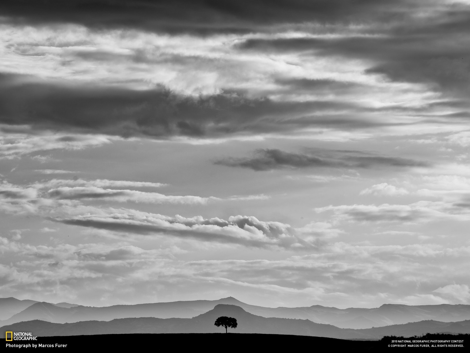 Lone tree on a hill with mountains and clouds HD Wallpaper