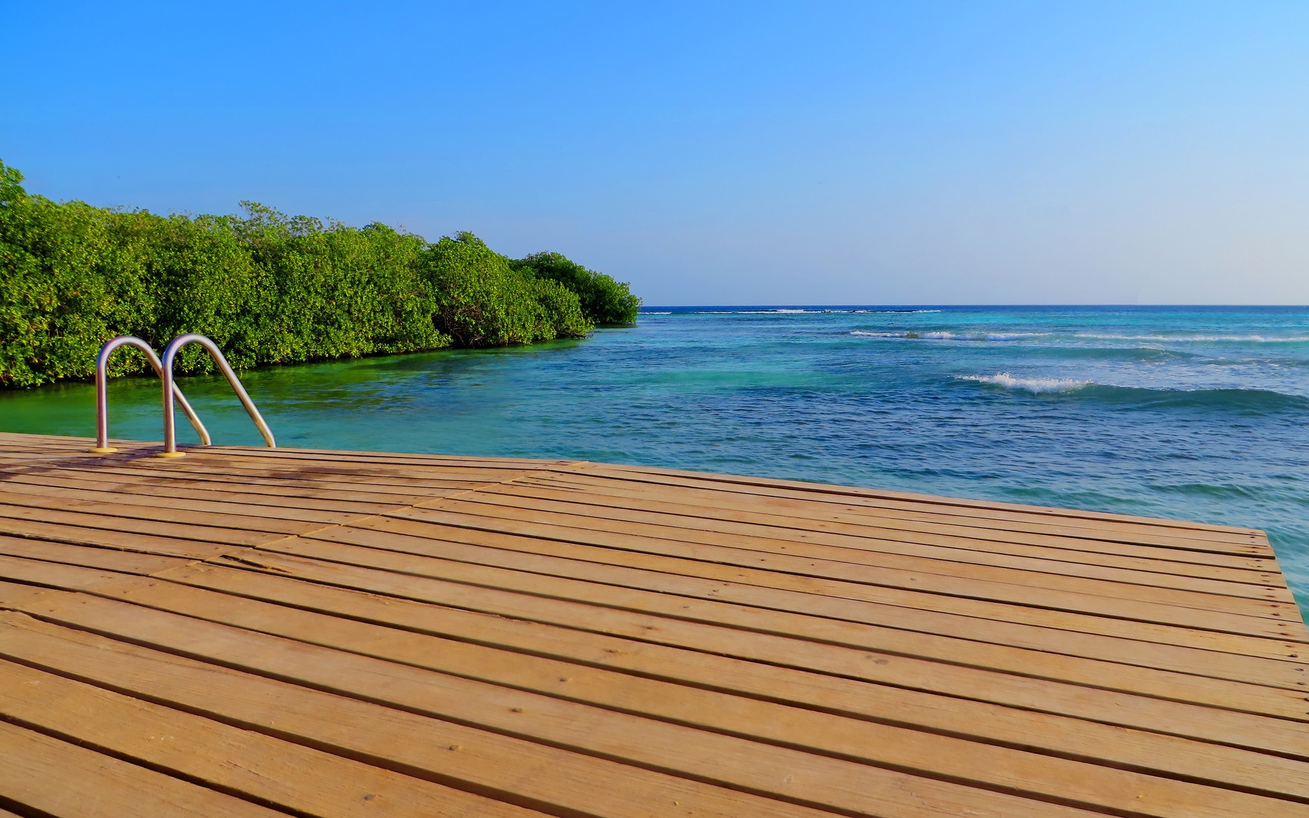 Wooden deck with ladder by the sea and mangrove trees HD Wallpaper