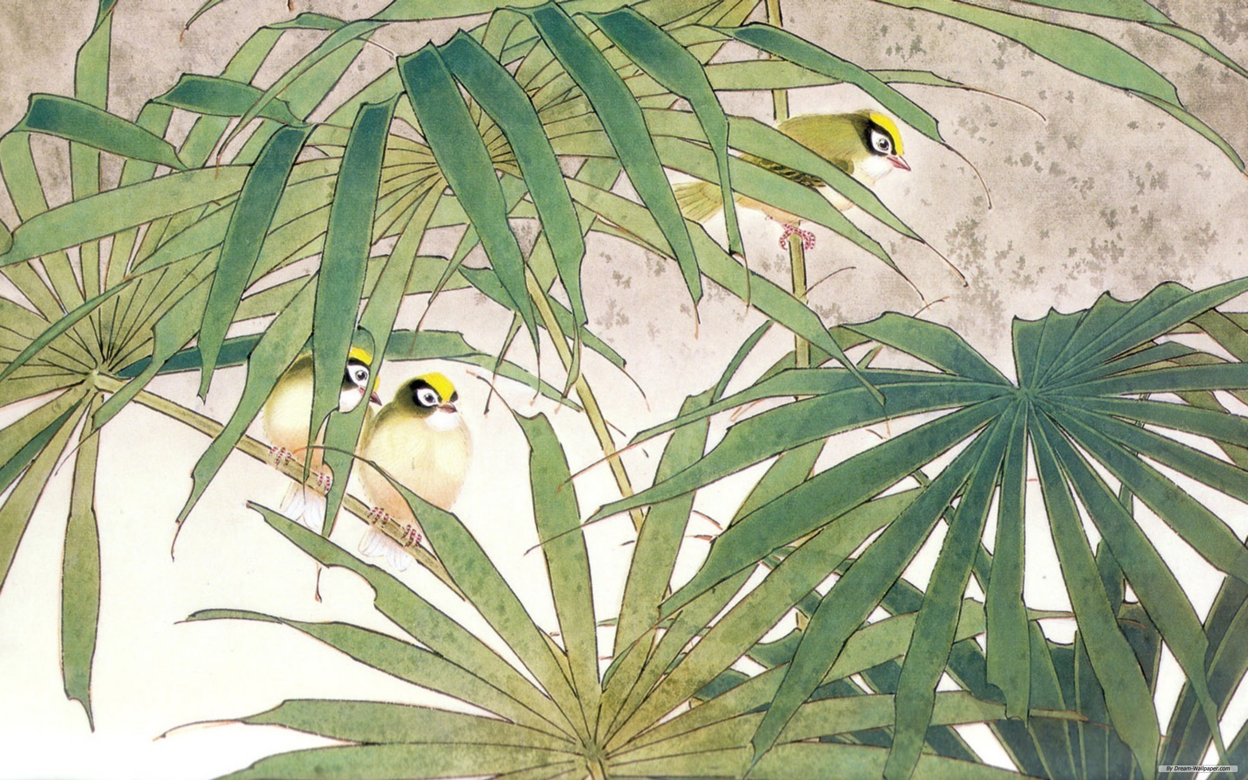 Birds Perched Among Tropical Palm Leaves HD Wallpaper