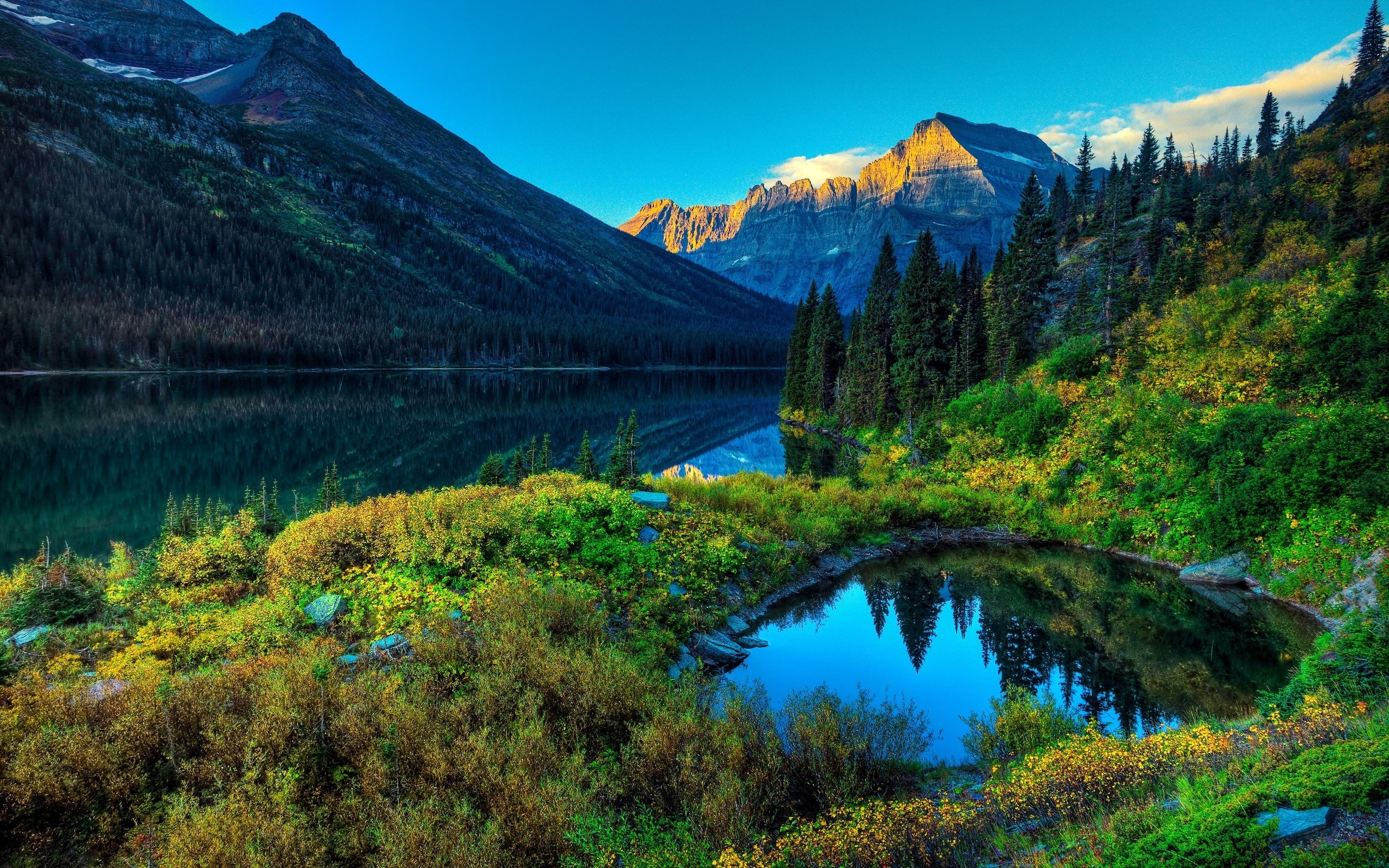 Mountain Lake and Forest Reflection at Sunset HD Wallpaper
