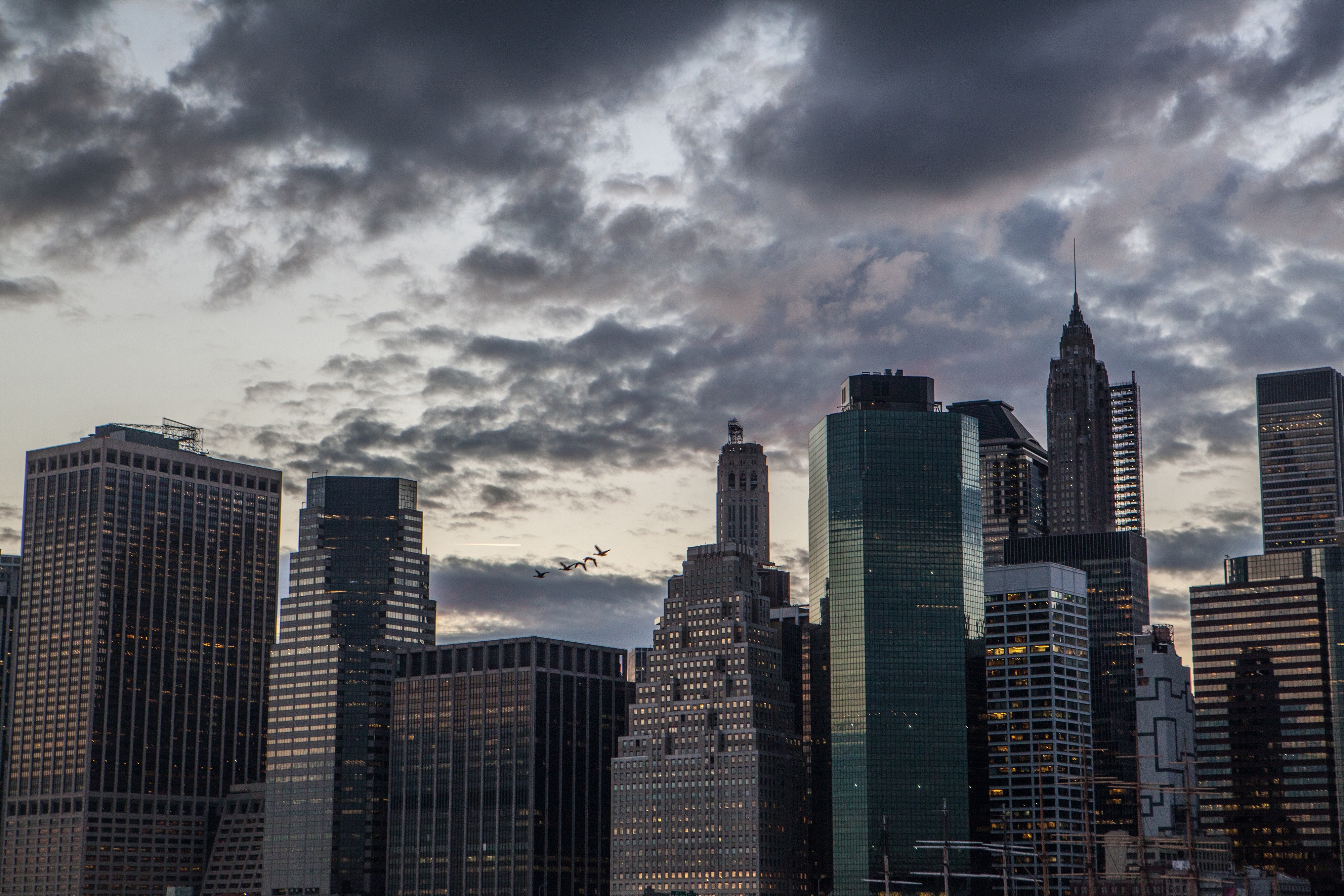 Birds flying over New York City skyline at dusk HD Wallpaper