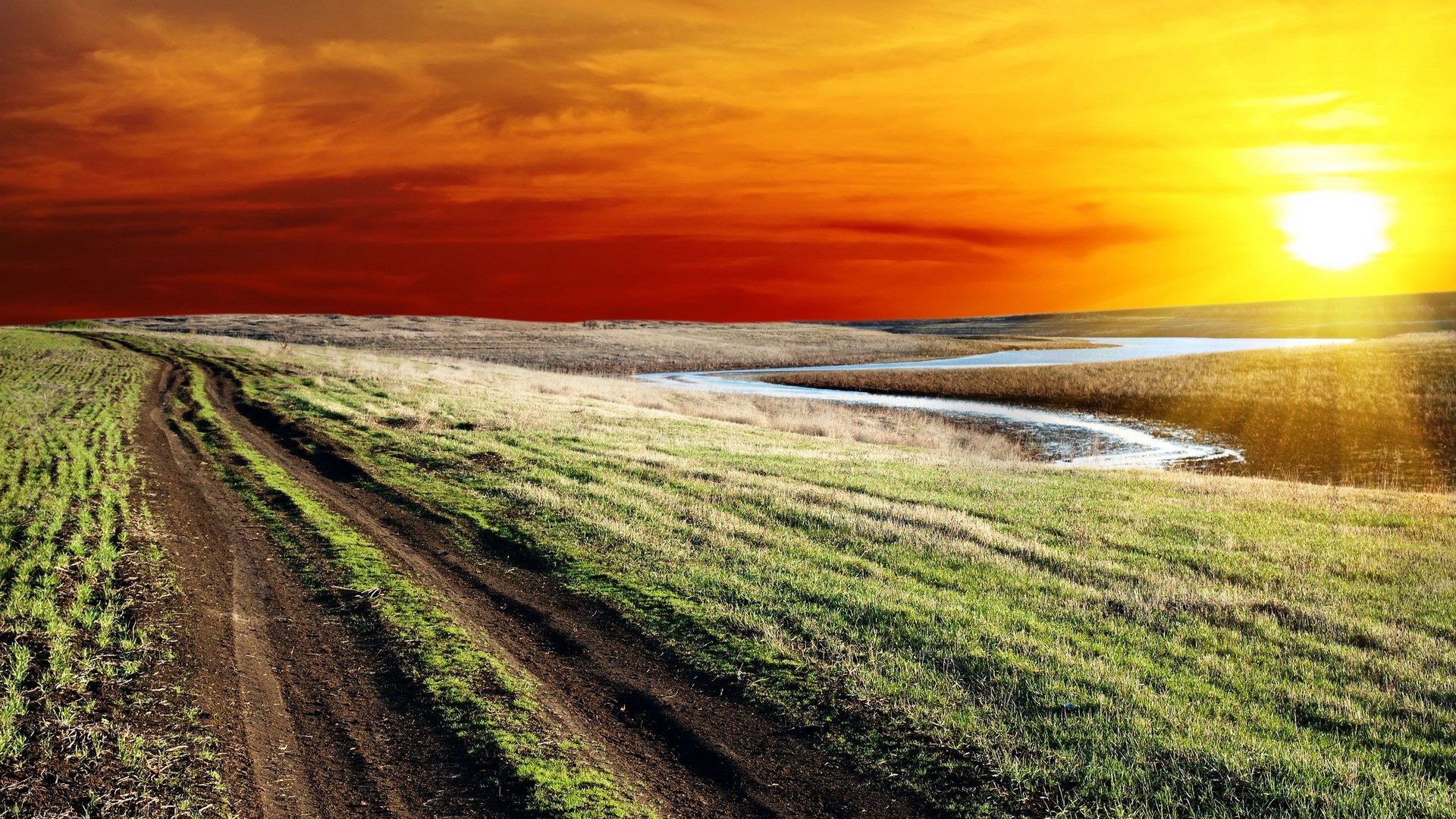 Dirt road through a grassy field at sunset HD Wallpaper