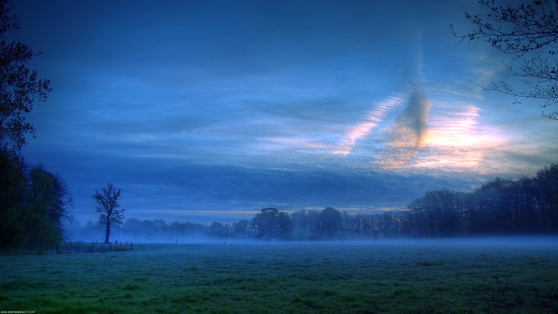 Misty field at sunrise with dramatic clouds HD Wallpaper