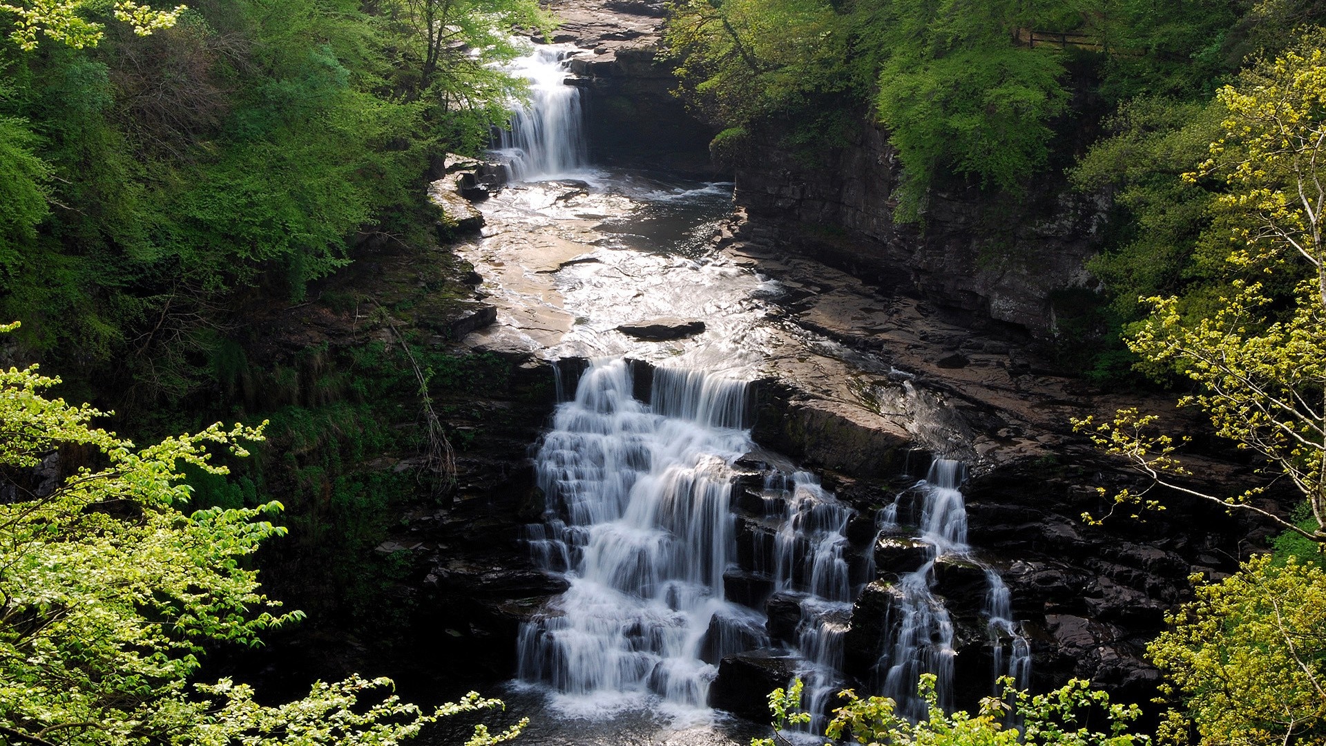 Waterfall cascading through a rocky forest gorge HD Wallpaper