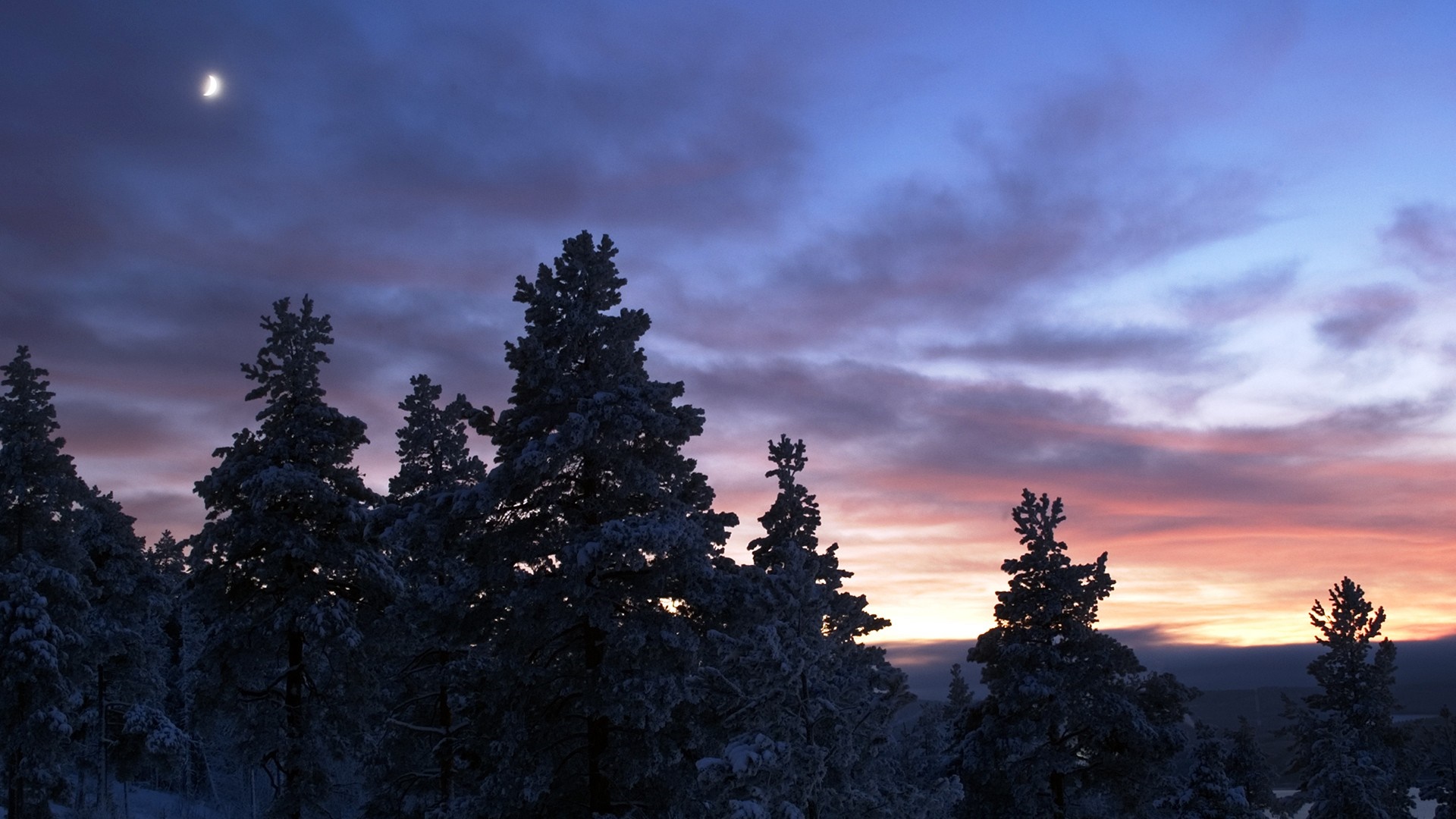 Winter forest at dusk with crescent moon HD Wallpaper
