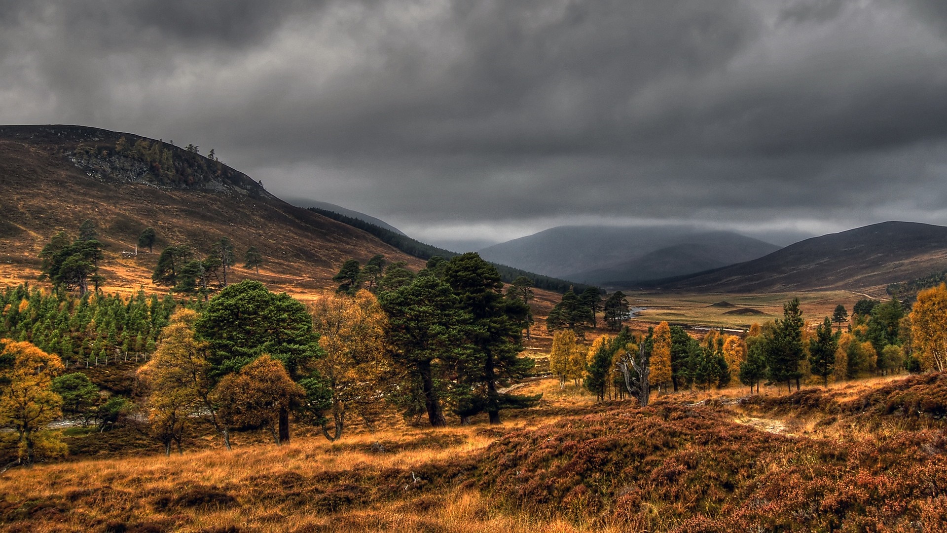 Autumn valley with rolling hills and dark clouds HD Wallpaper
