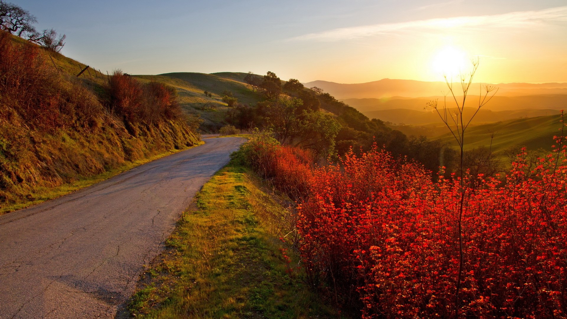 Road winding through hills at sunset HD Wallpaper