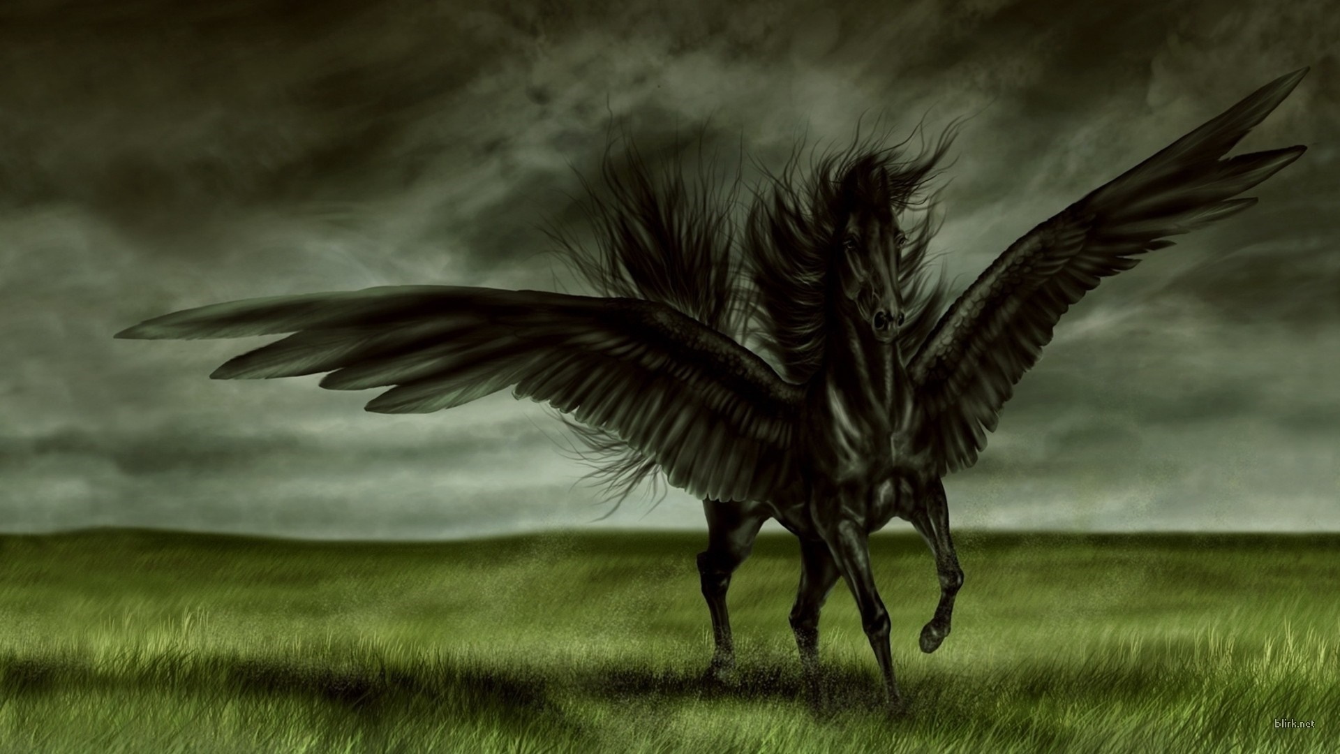 Black Pegasus with large wings in a field HD Wallpaper