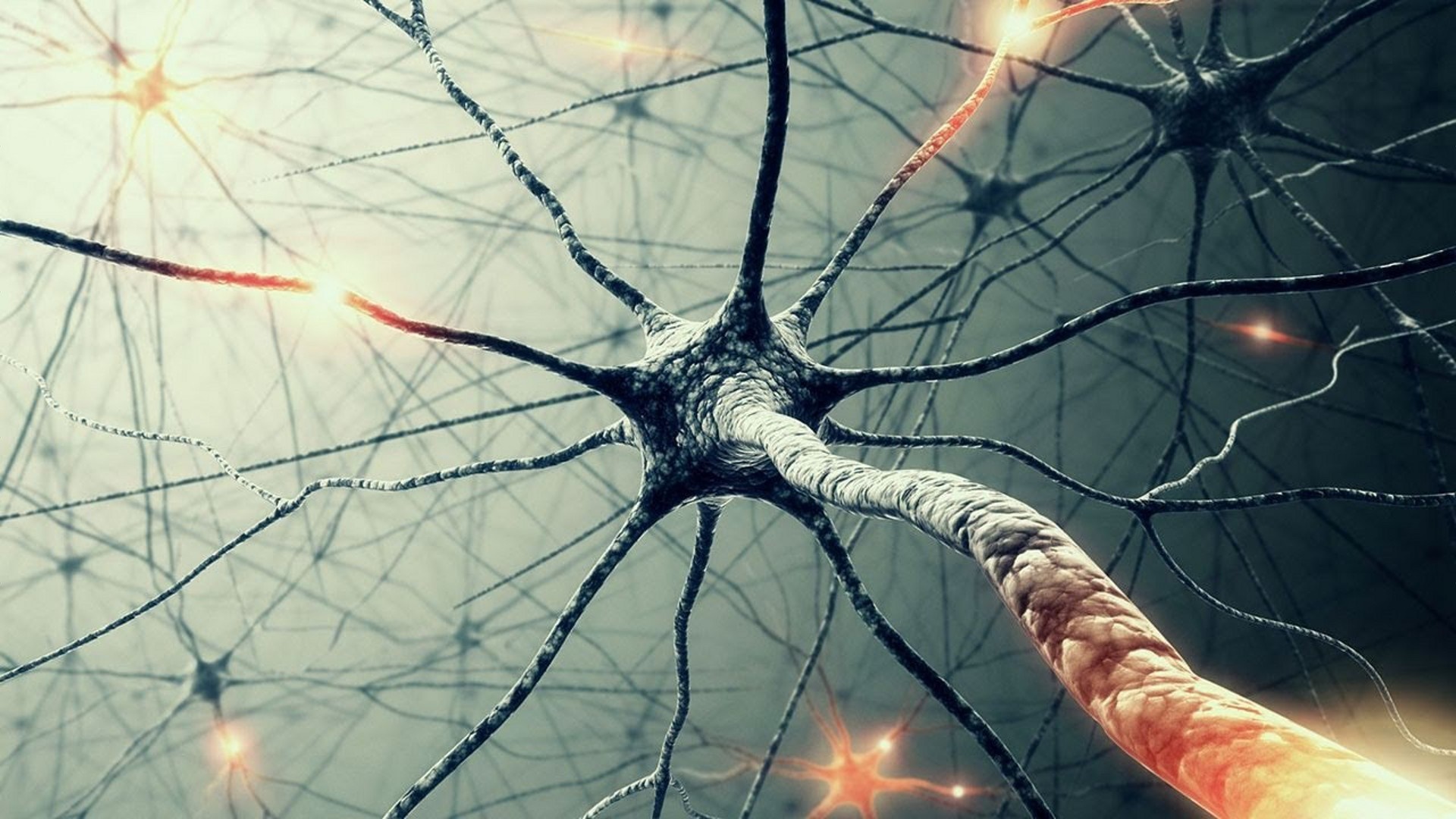 Close-up of interconnected neurons with electrical impulses HD Wallpaper
