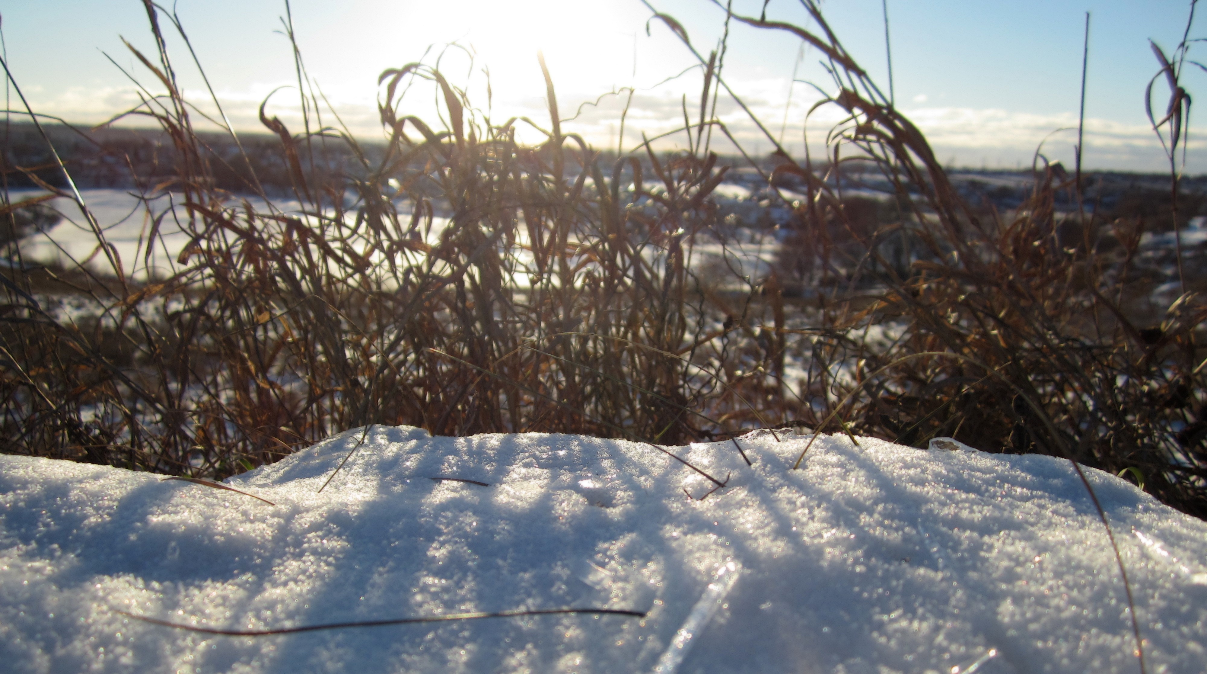 Sunlight on snow with dry grass in winter HD Wallpaper
