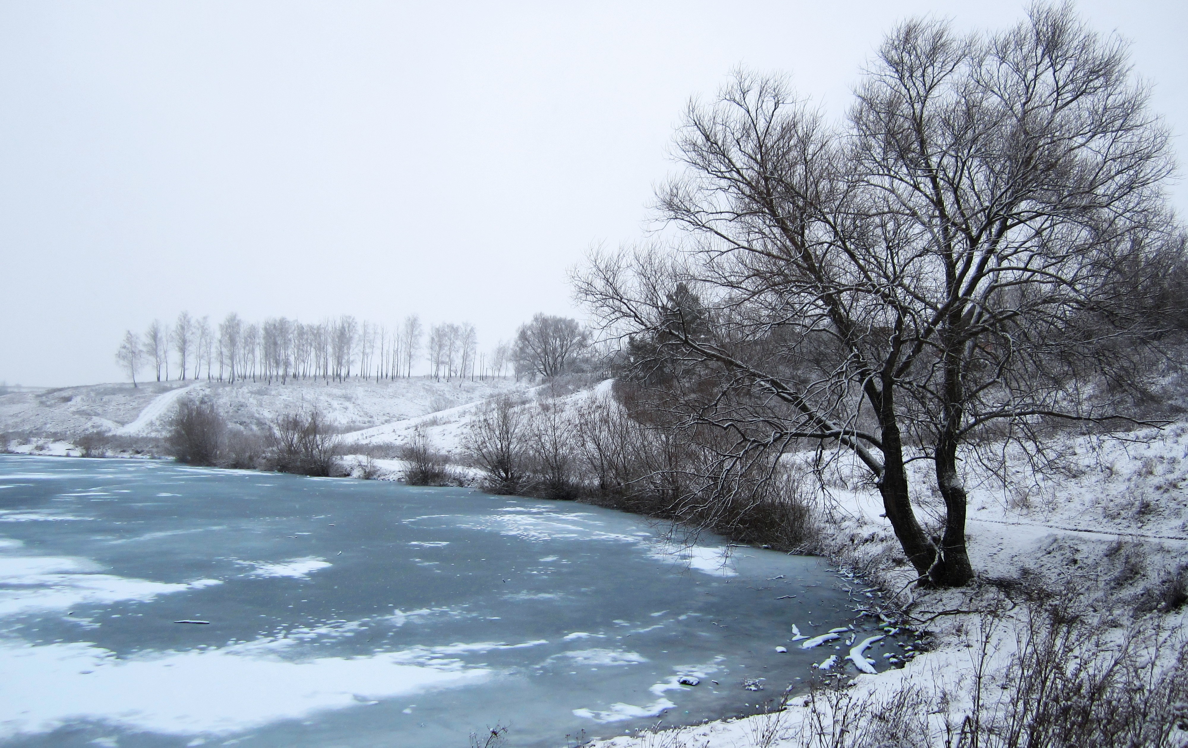 Frozen lake and snow-covered landscape with bare trees HD Wallpaper
