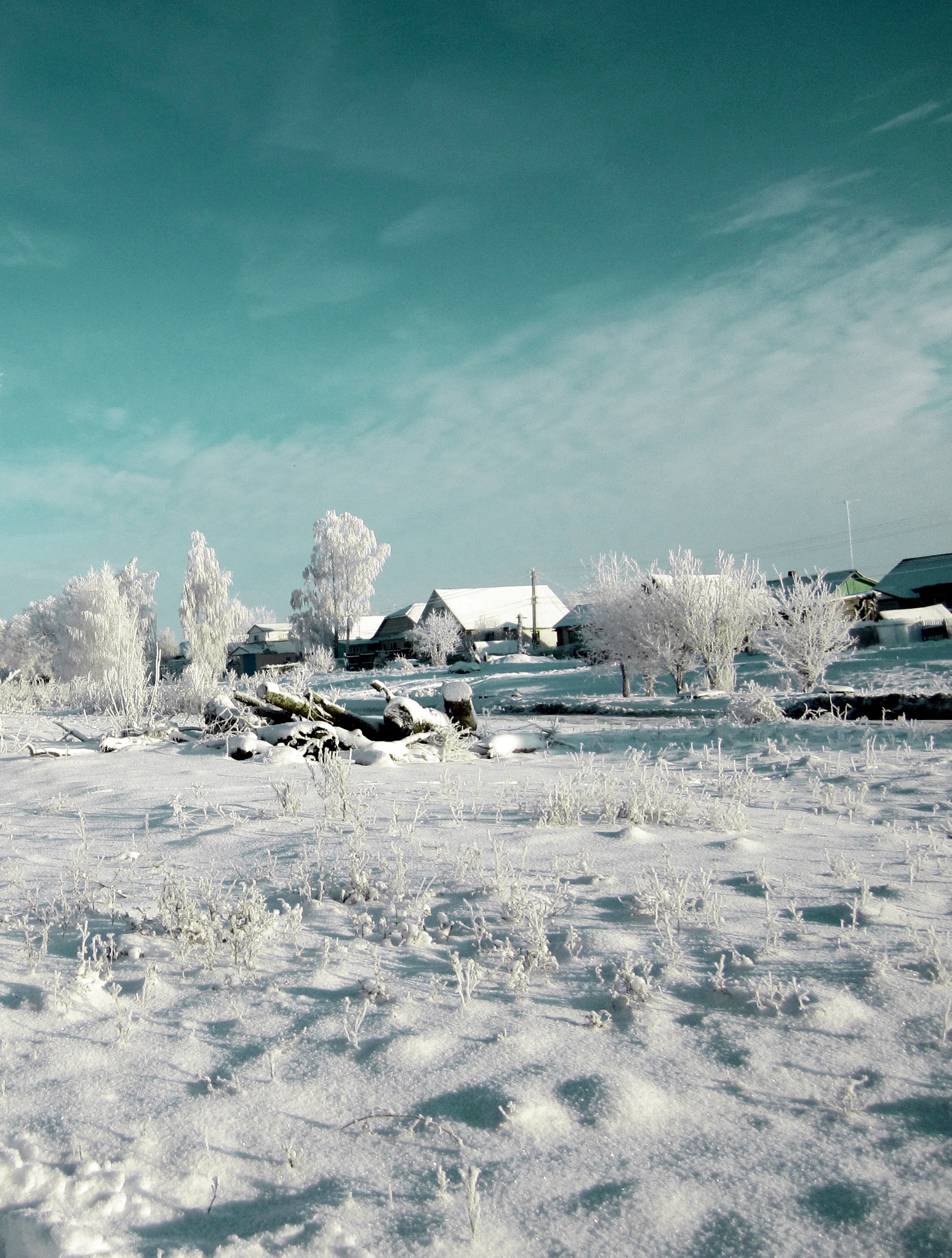 Snowy village with frosted trees under a teal sky HD Wallpaper