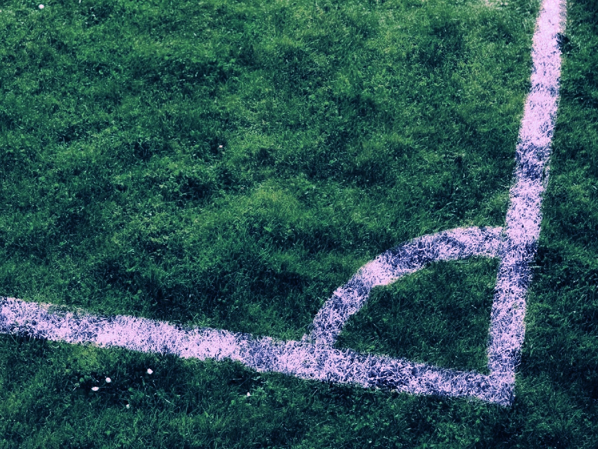 Soccer field corner with white markings on grass HD Wallpaper