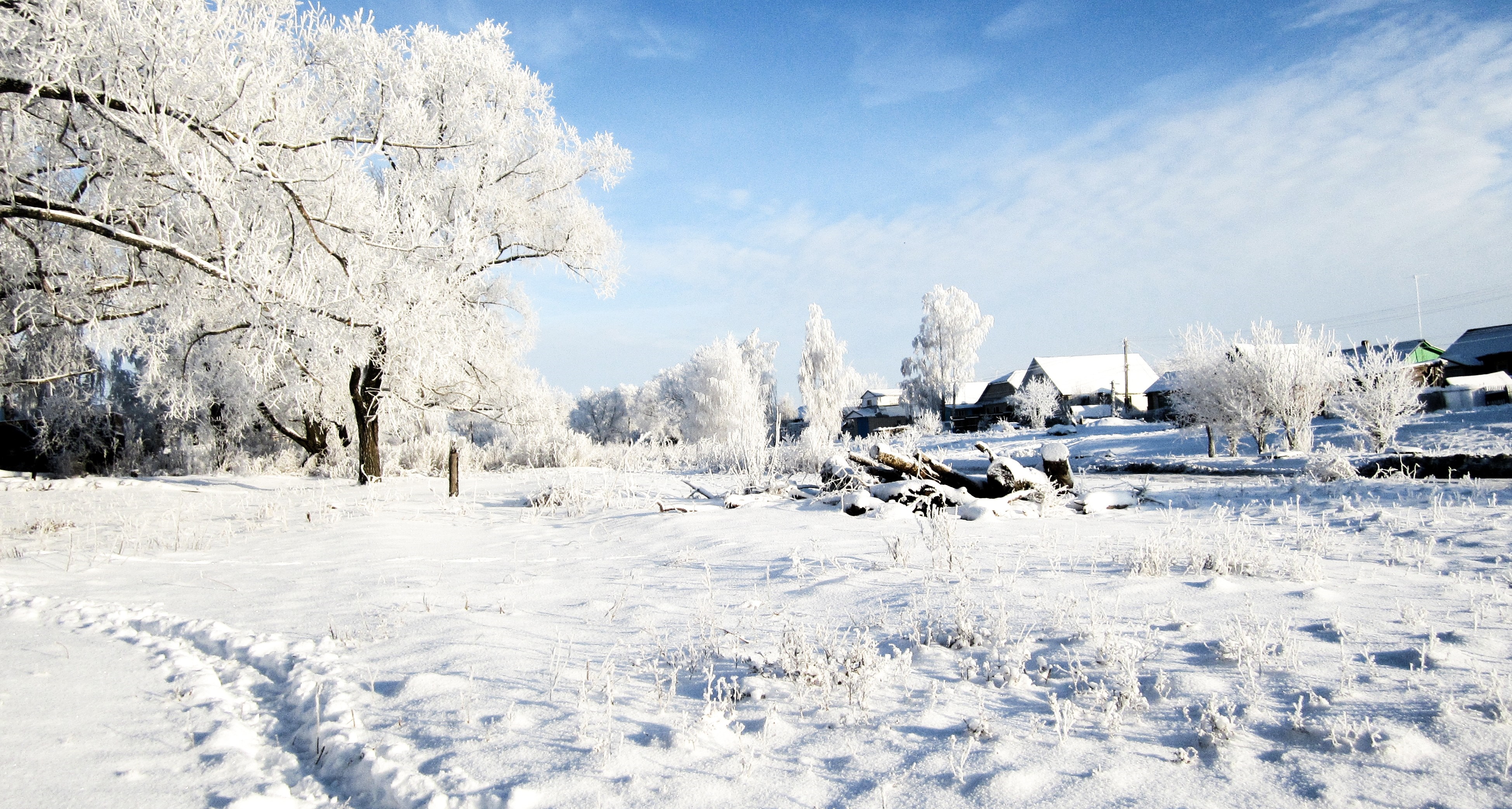 Snowy landscape with frosted trees and houses HD Wallpaper