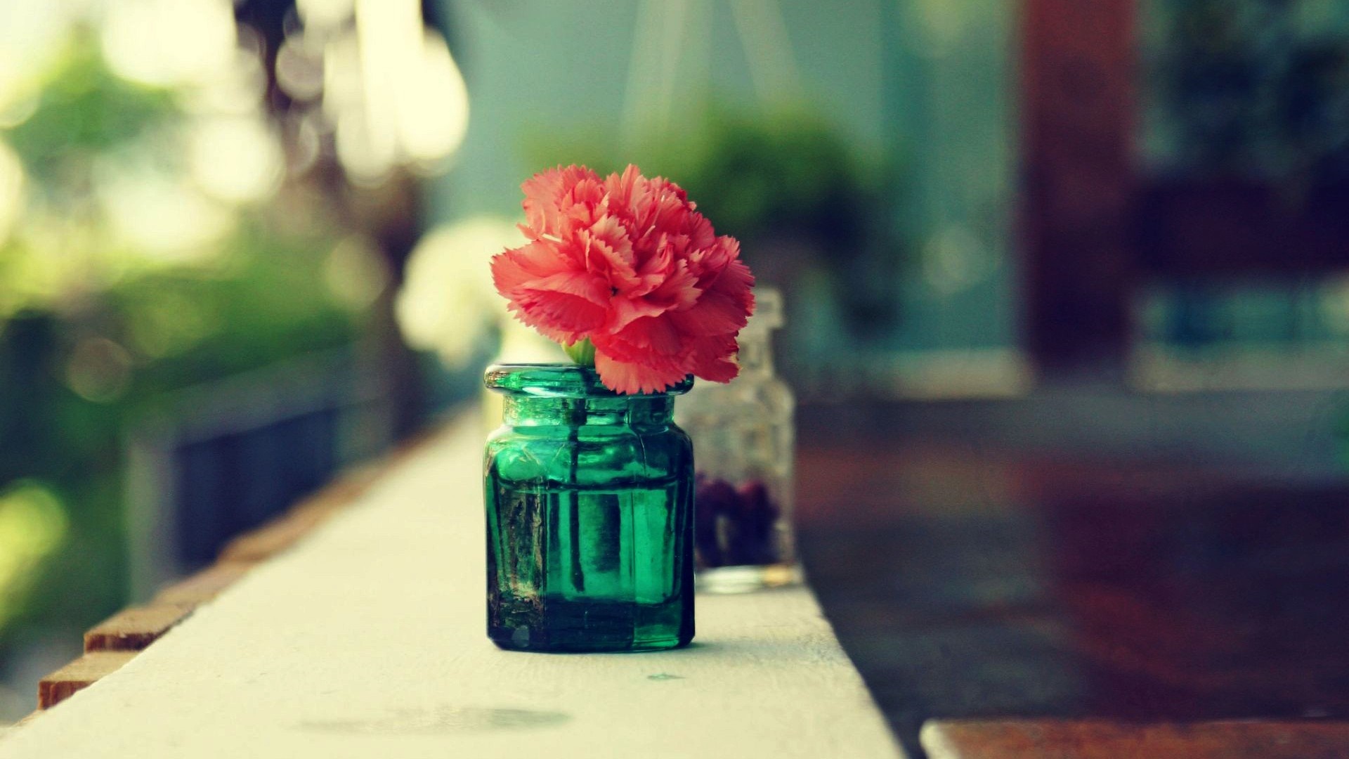 Red flower in a green glass vase HD Wallpaper