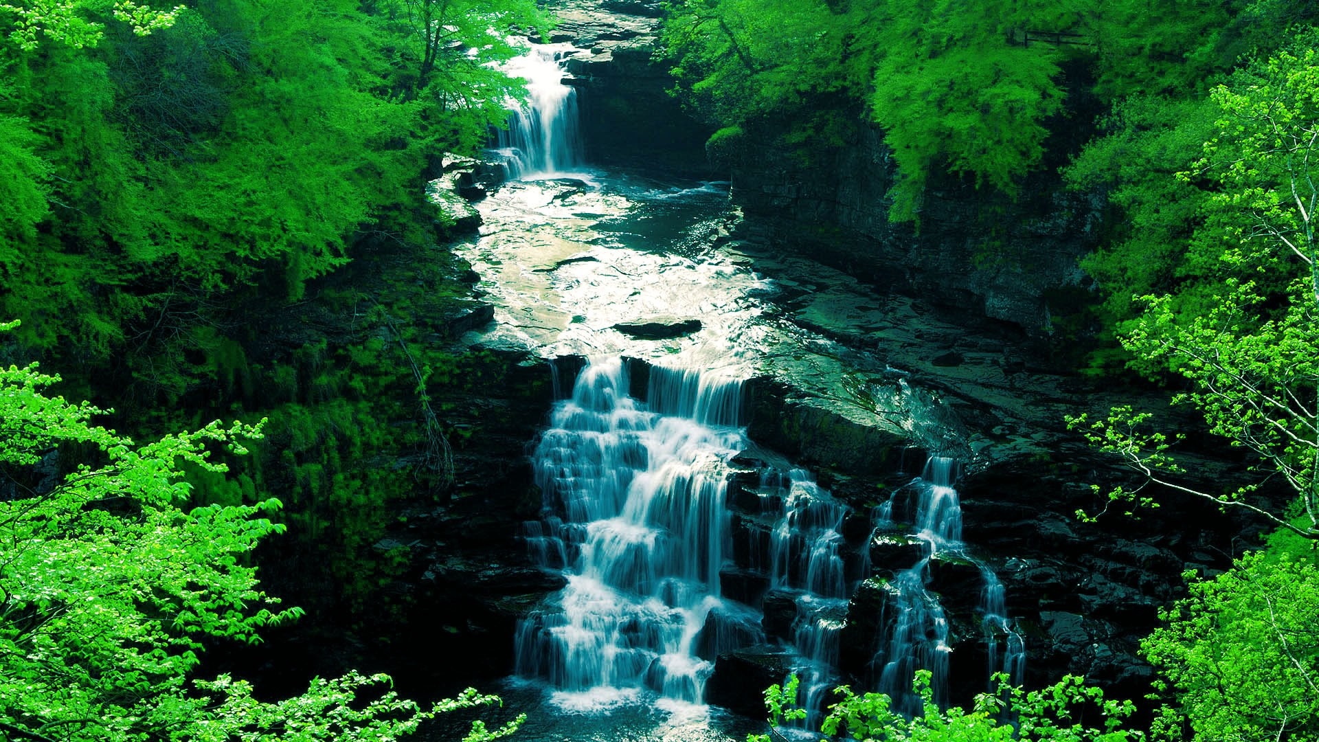 Waterfall cascading through a lush green forest HD Wallpaper