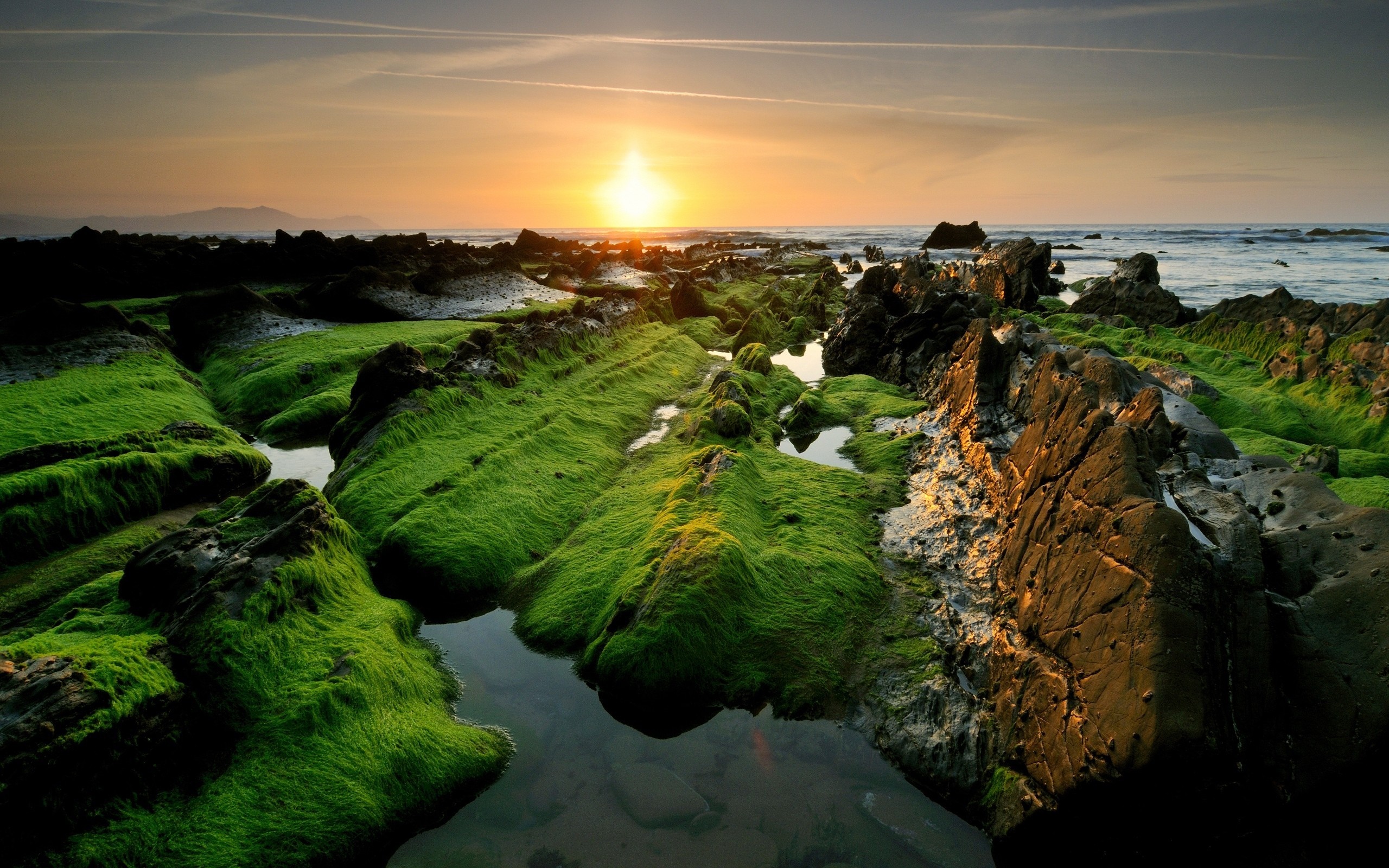 Sunset over moss-covered rocks on a rocky shore HD Wallpaper