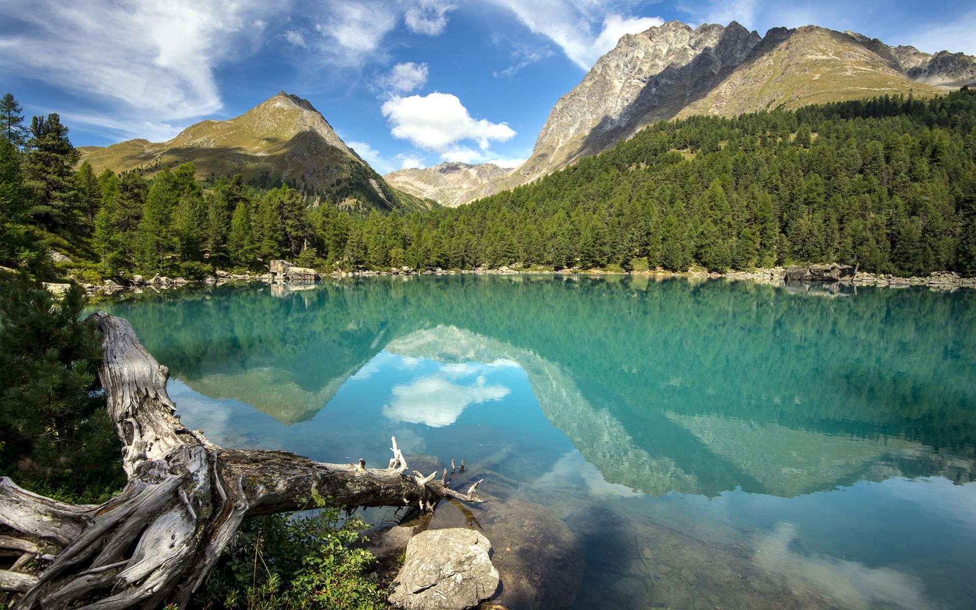 Turquoise mountain lake with reflections and fallen tree HD Wallpaper