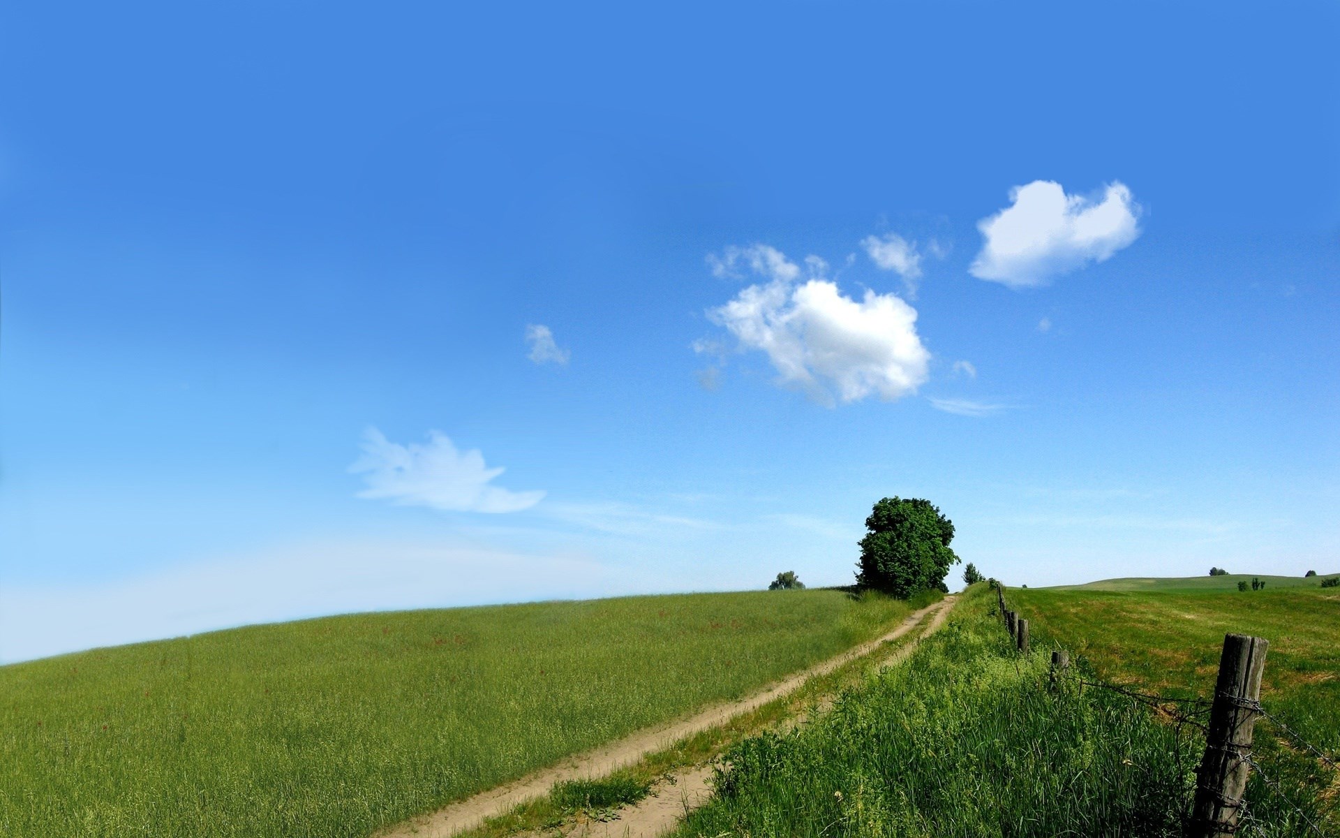 Dirt road through a green field under a blue sky HD Wallpaper