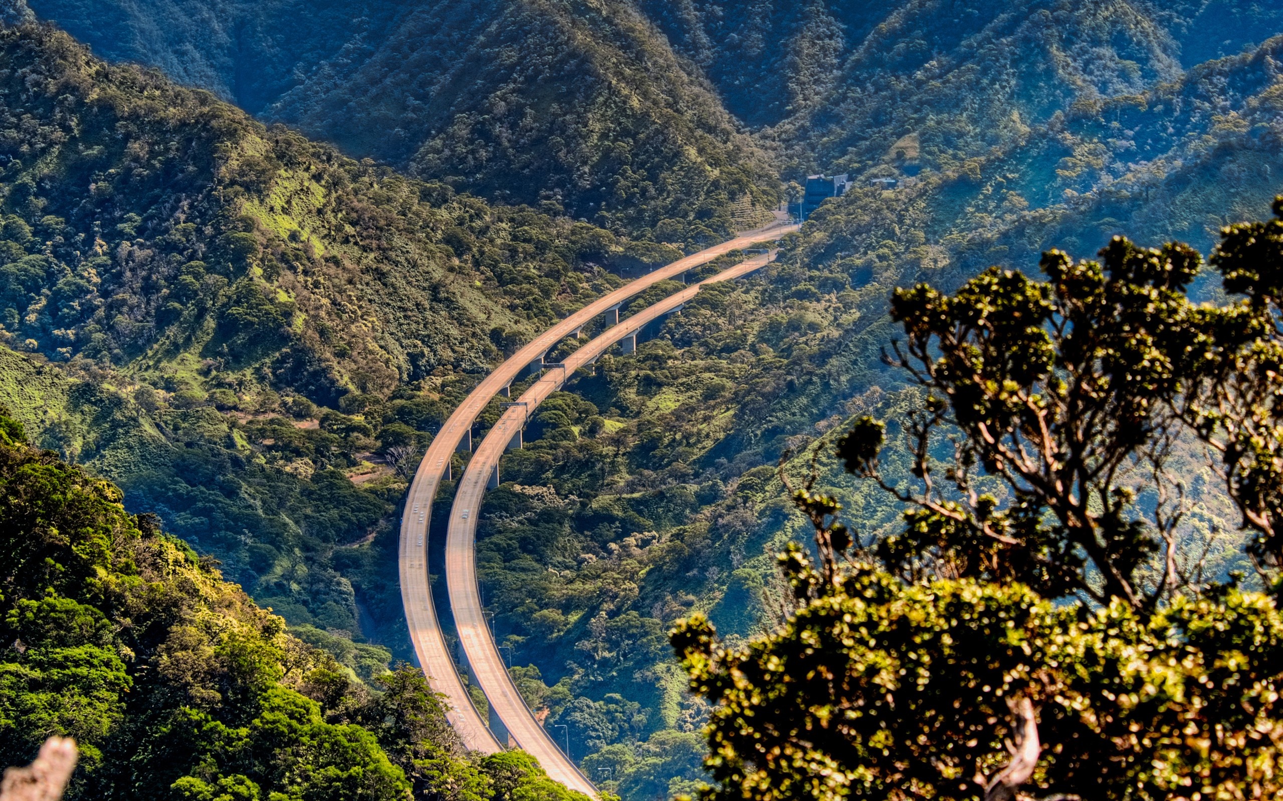 Highway through a lush green mountain valley on Oahu, Hawaii HD Wallpaper