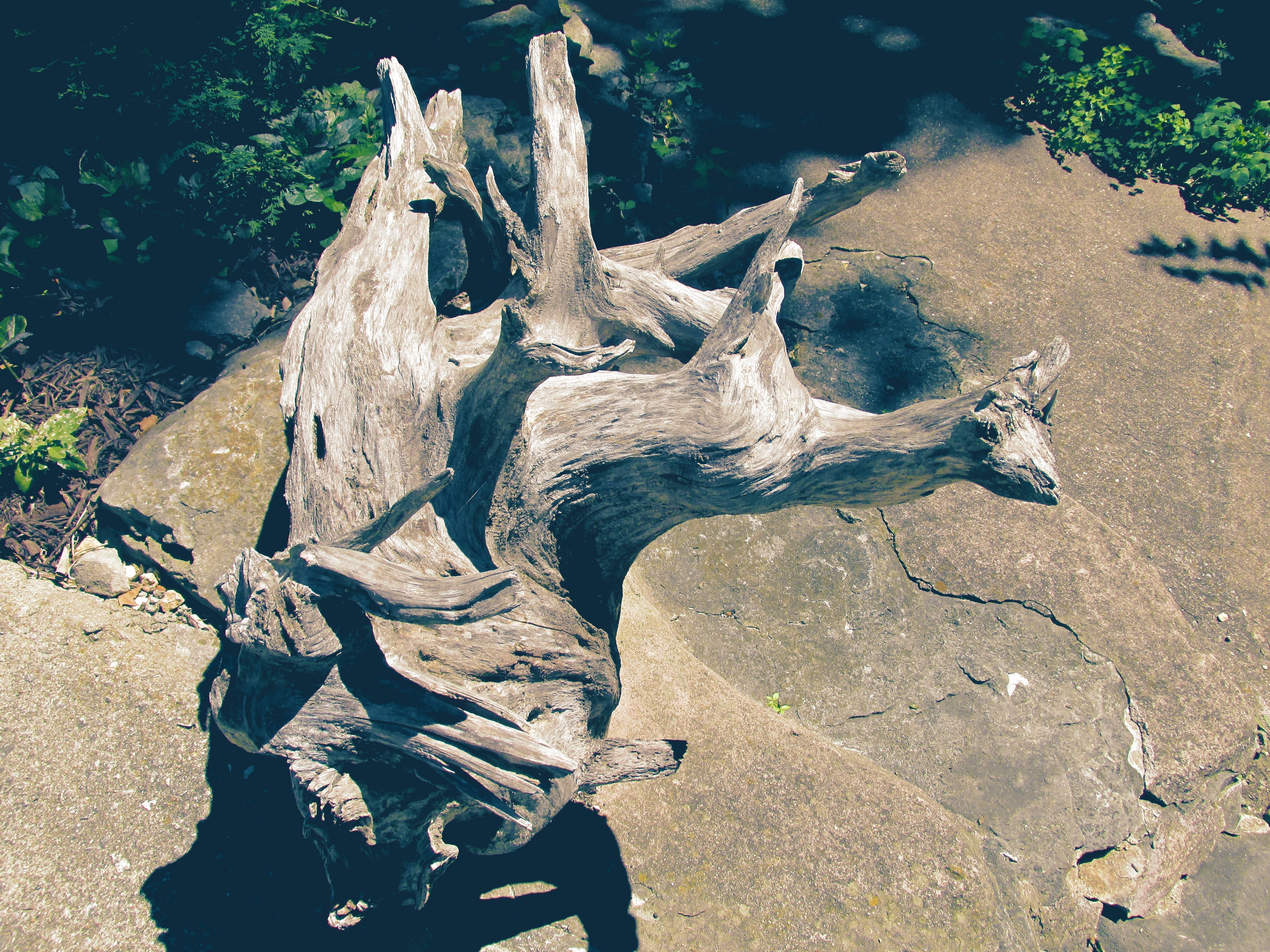 Driftwood sculpture on concrete and rocks HD Wallpaper