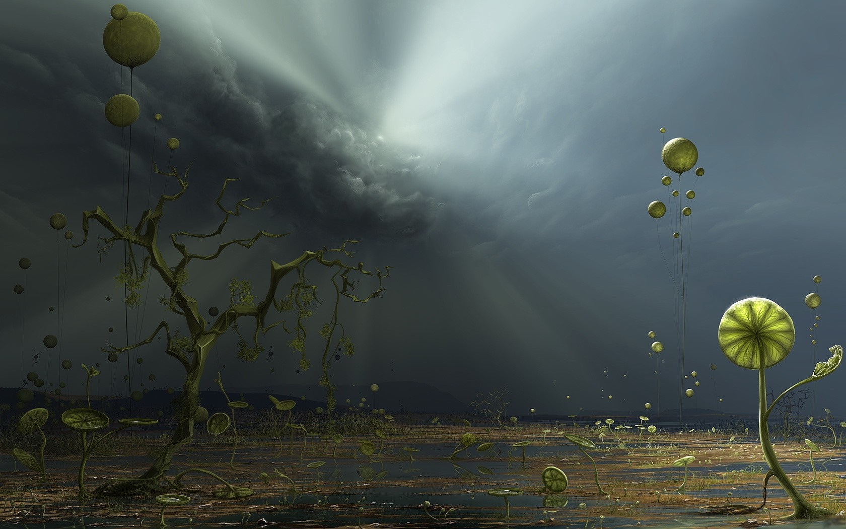 Surreal landscape with strange plants and stormy sky HD Wallpaper