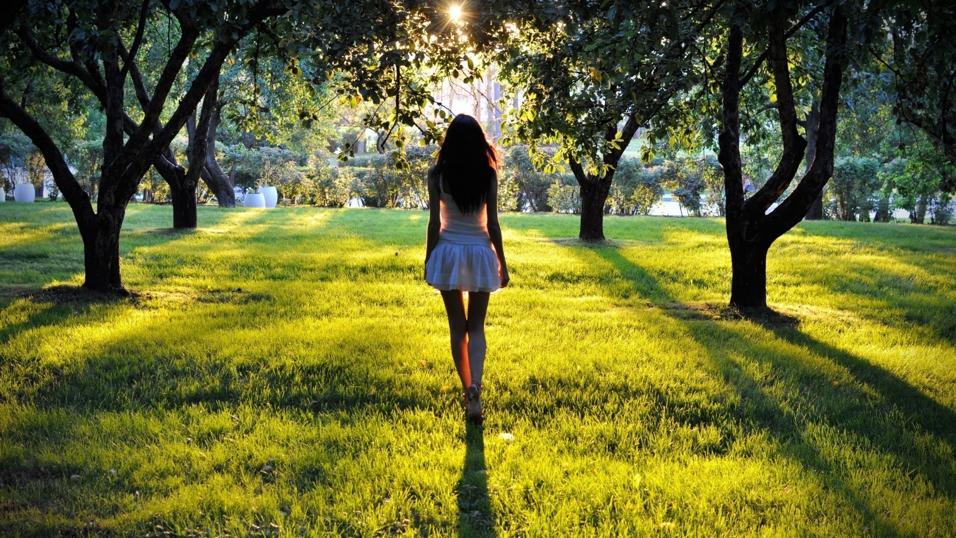 Woman walking in a sunlit park with trees HD Wallpaper