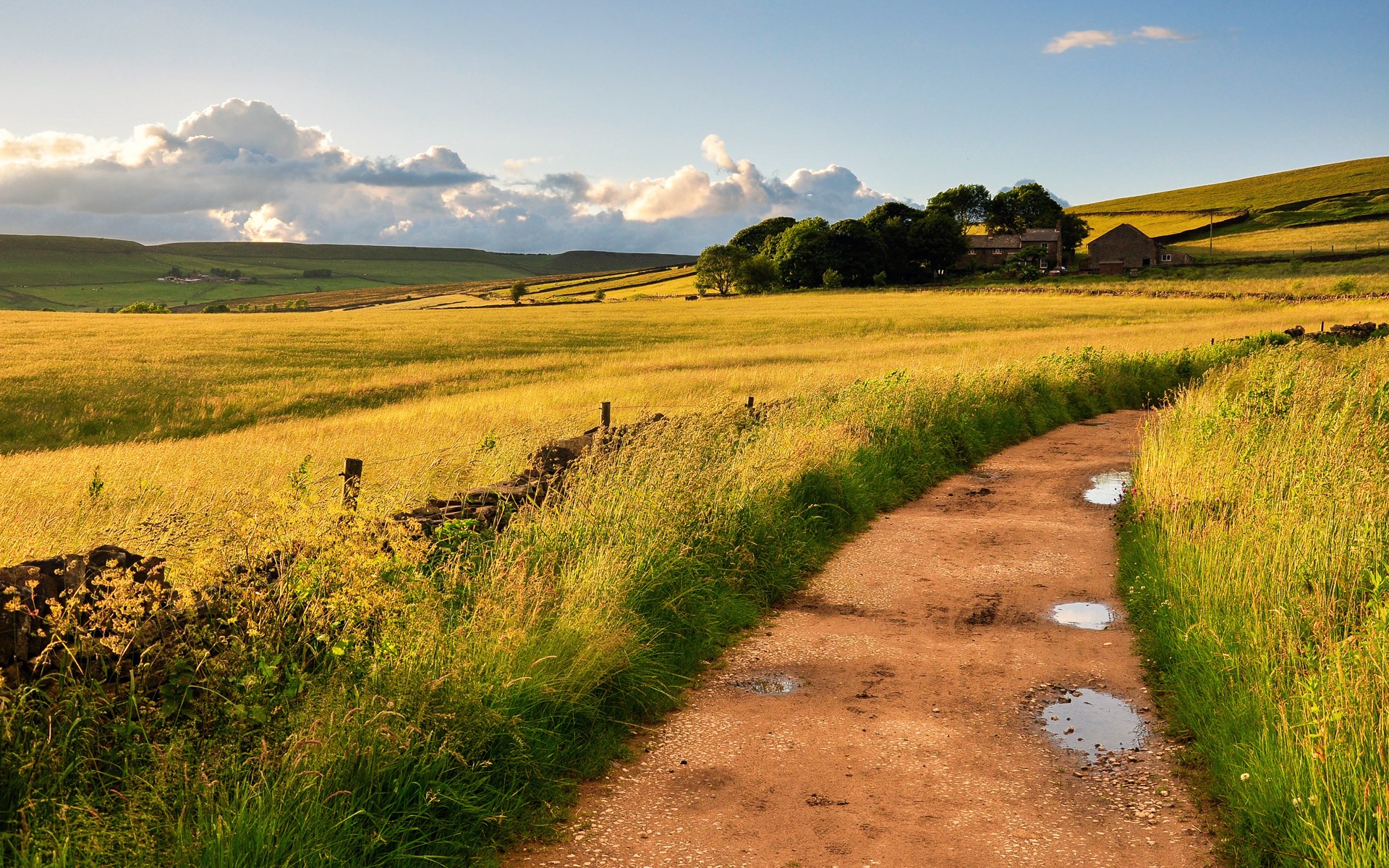 Dirt path through a golden field with farm buildings HD Wallpaper