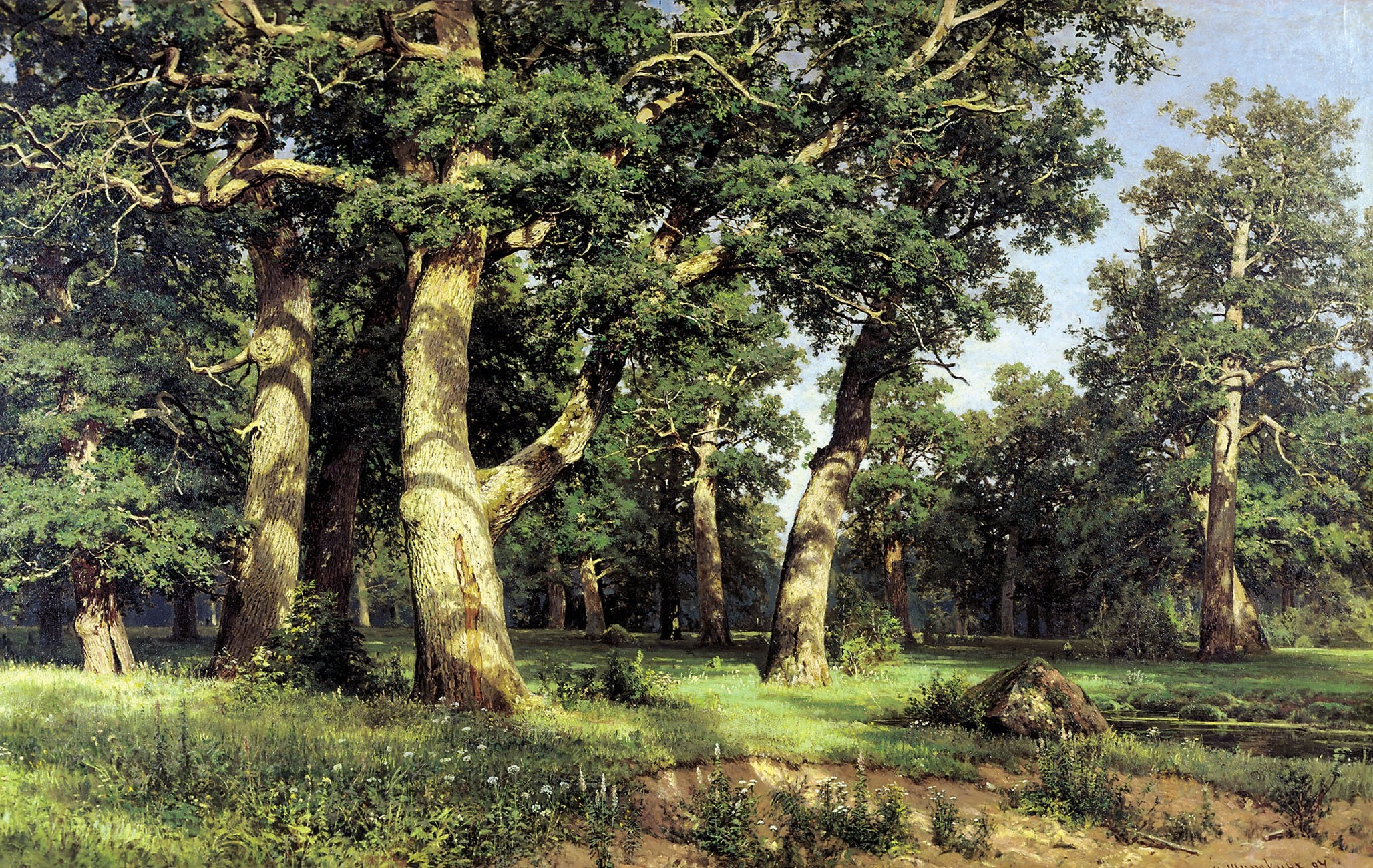 Ancient oak trees in a sunlit forest clearing HD Wallpaper