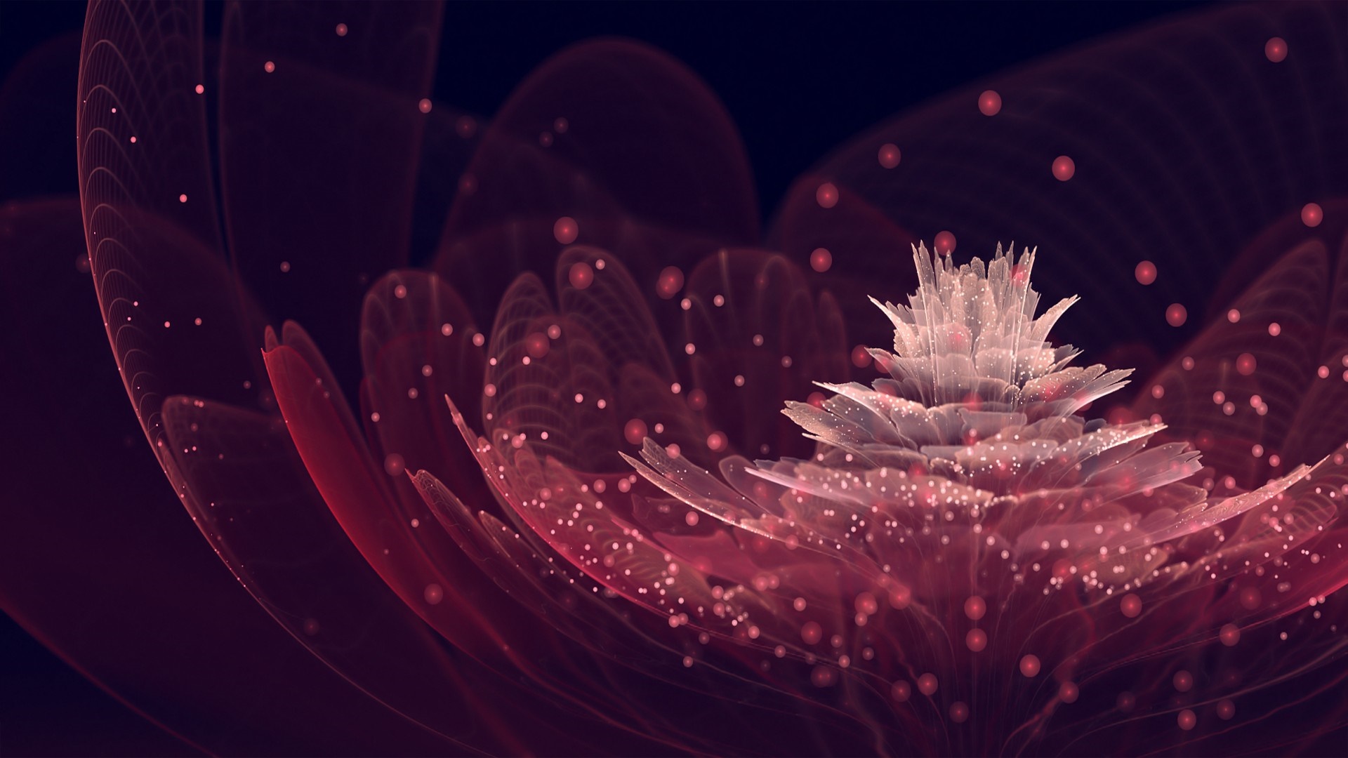 Fractal art flower with glowing particles HD Wallpaper