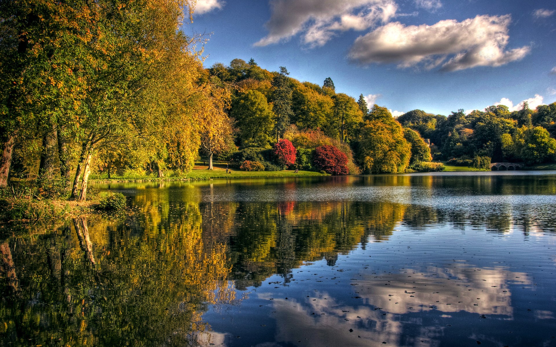 Autumn trees reflected in a lake under a cloudy sky HD Wallpaper