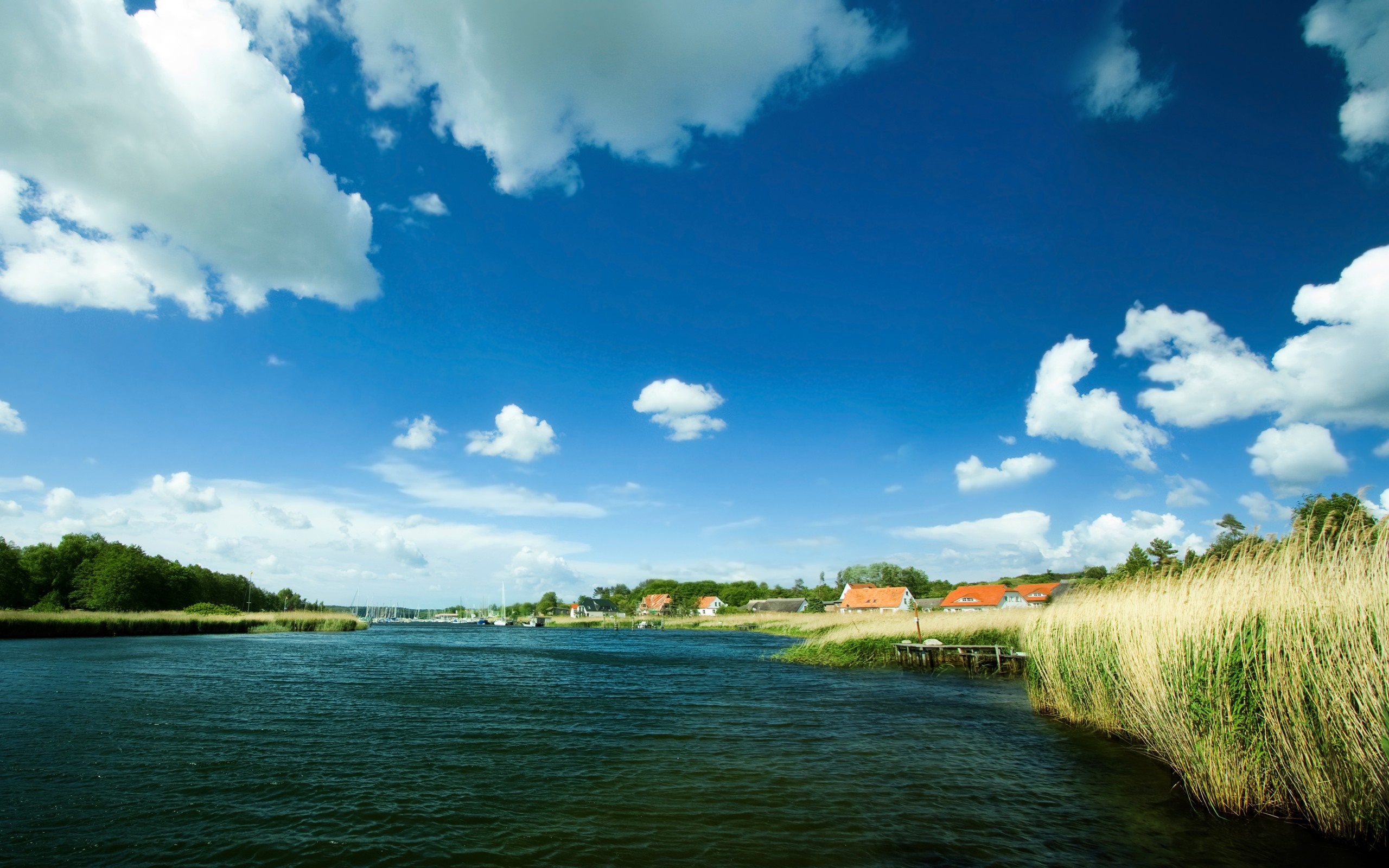 River with houses and reeds under a blue sky HD Wallpaper