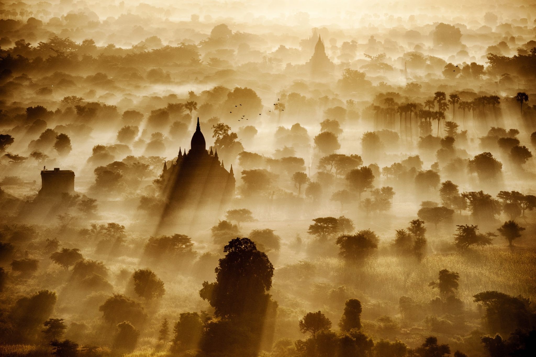 Temples and trees in morning mist, Bagan, Myanmar HD Wallpaper