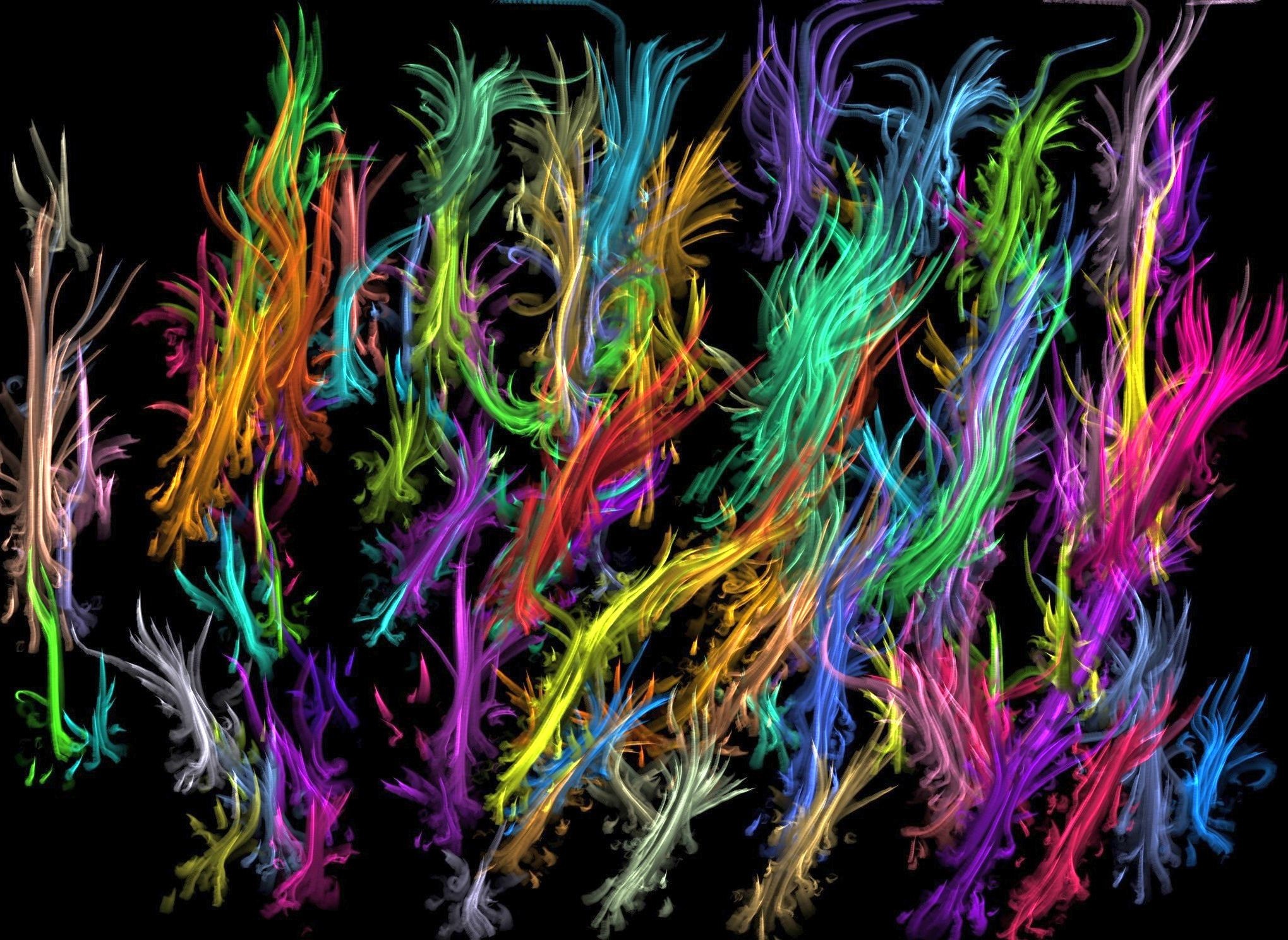 Colorful abstract fractal art HD Wallpaper
