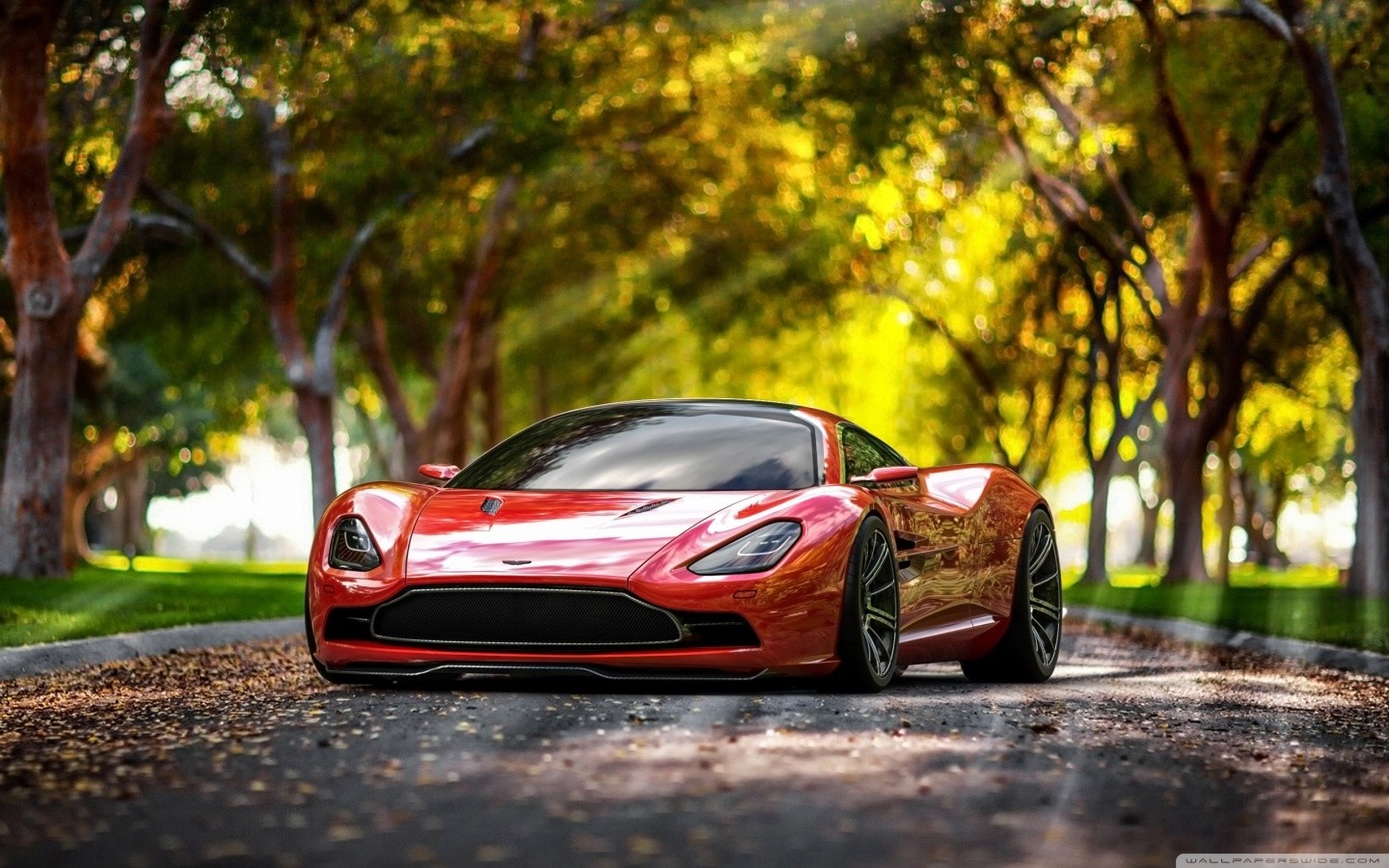 Red Aston Martin Vanquish on a tree-lined road HD Wallpaper