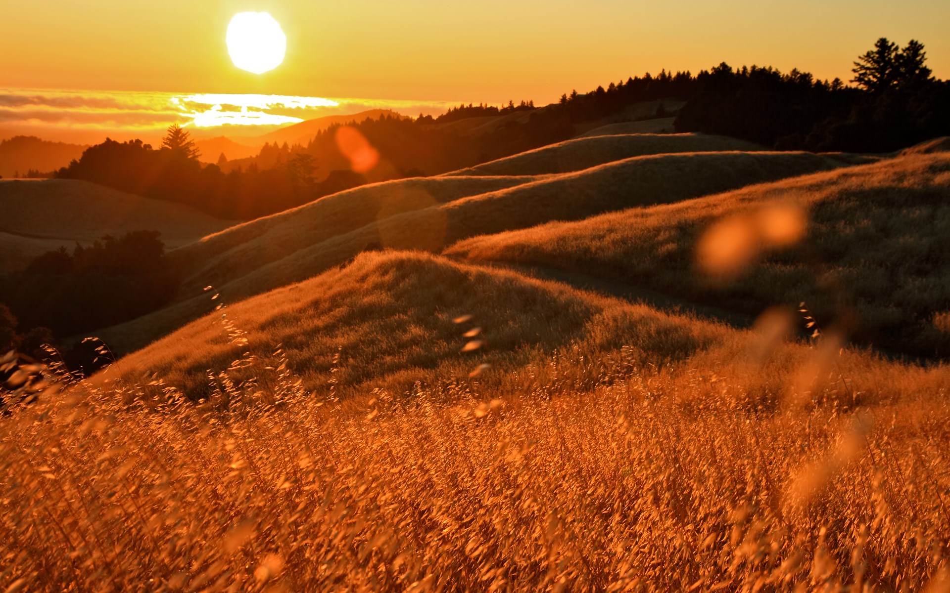 Golden hills at sunset with sun and clouds HD Wallpaper