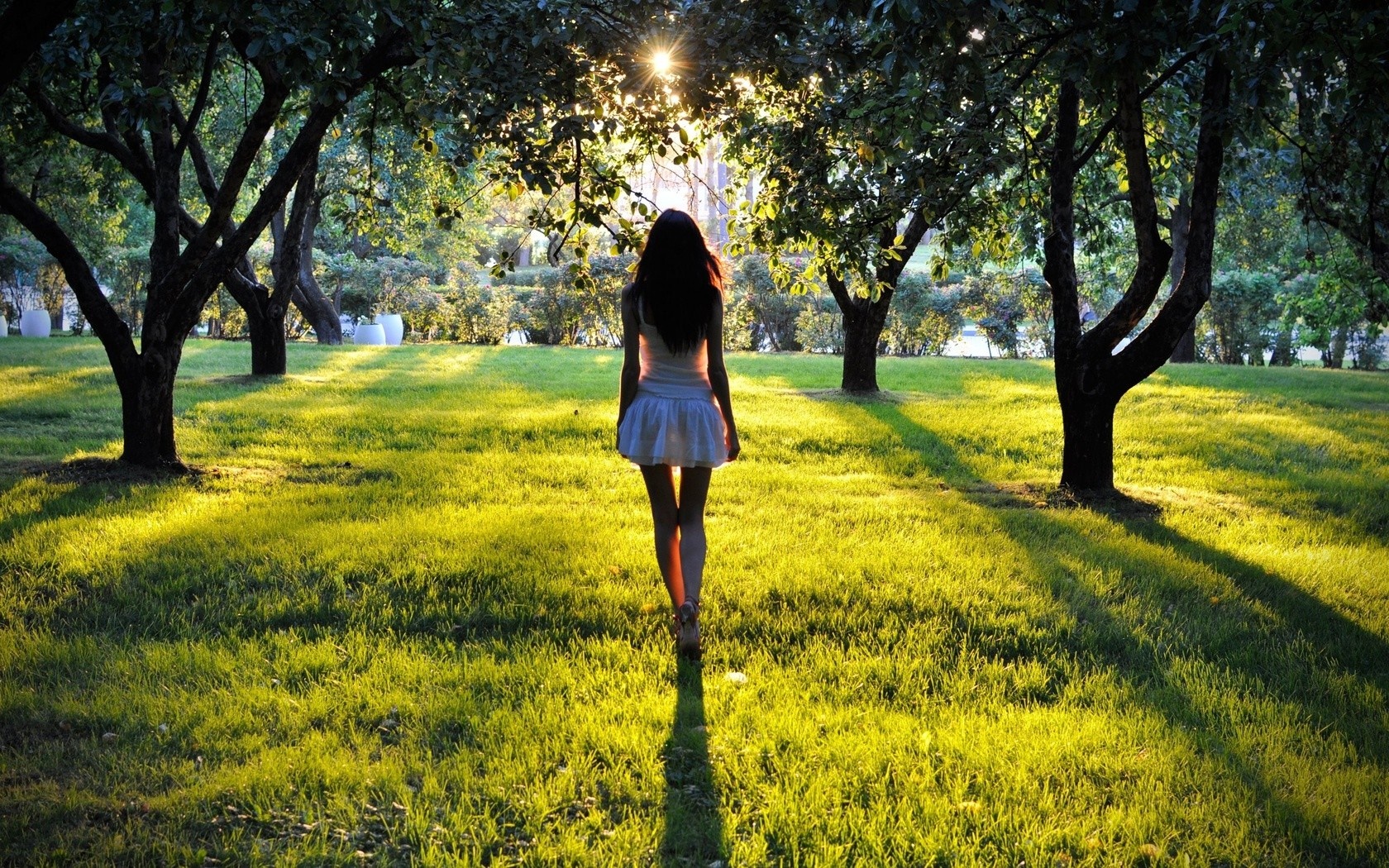Woman walking in a sunlit park with trees HD Wallpaper