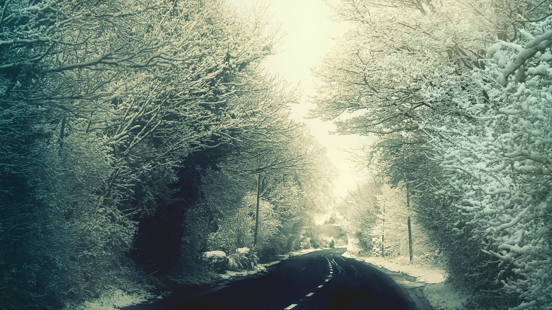 Snow-covered trees line a winding road in winter HD Wallpaper