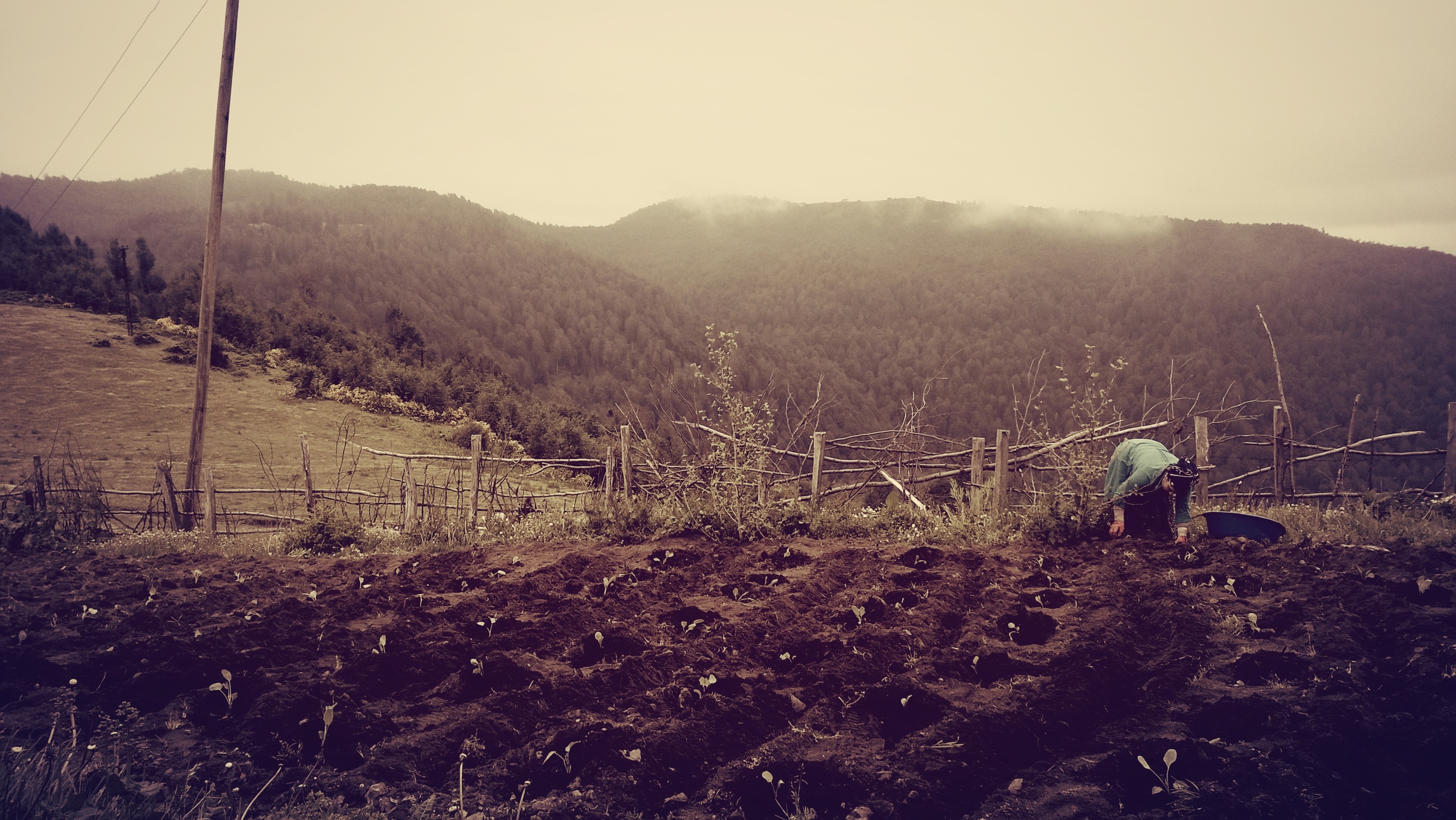 Person working in a field with mountains in the background HD Wallpaper