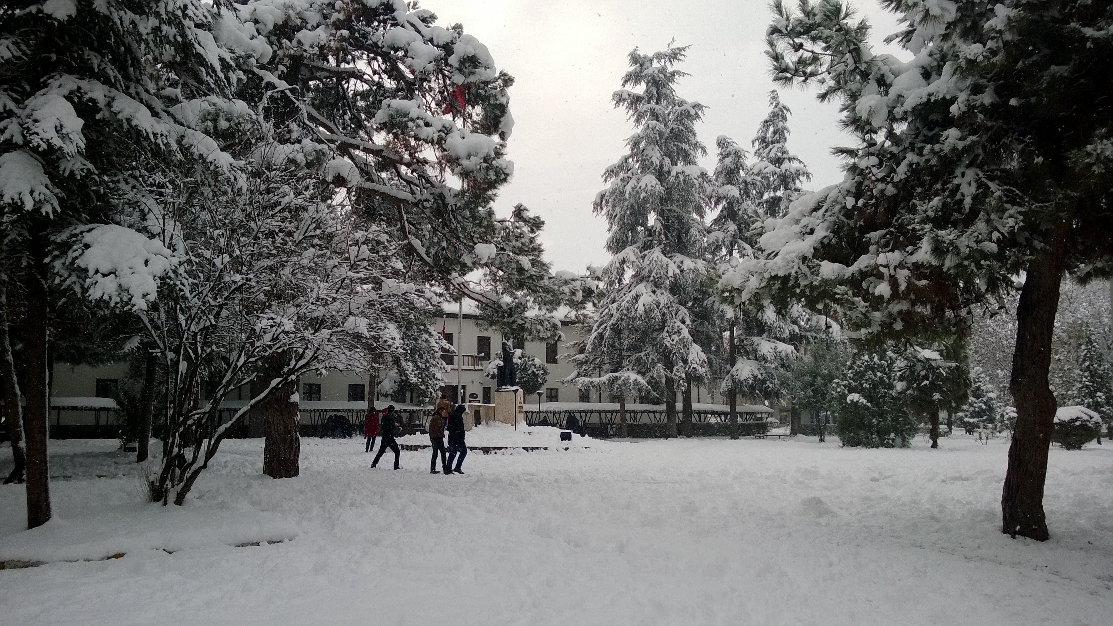 People walking in a snowy park with trees and a building HD Wallpaper