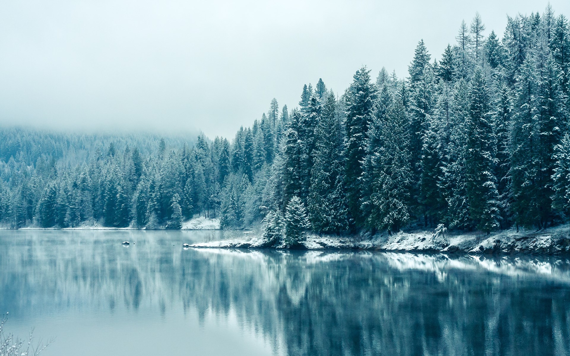 Snow-covered forest reflected in a calm lake HD Wallpaper